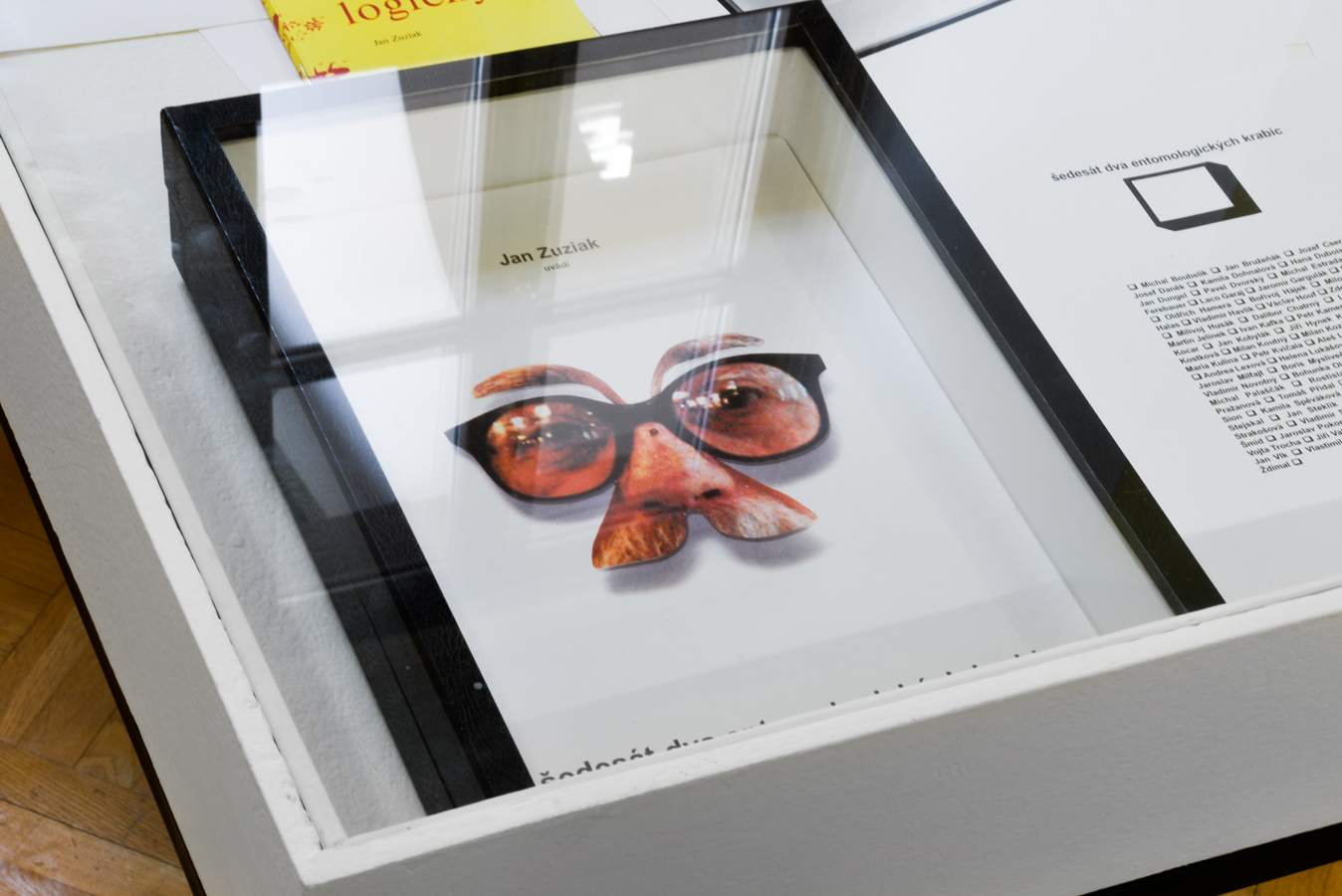 Jan Zuziak: An Outsiders's Insidership