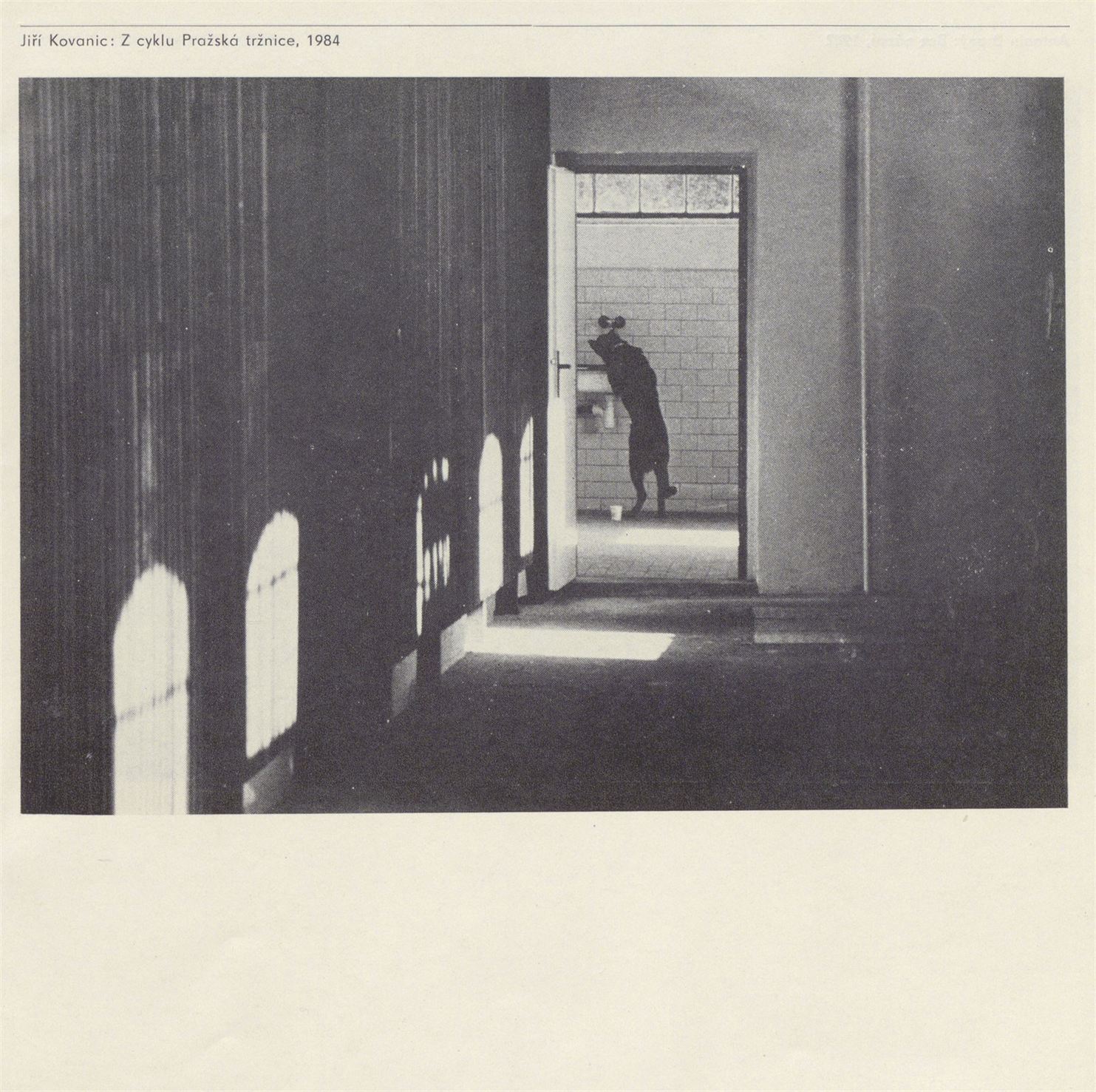 Fotografie studentů FAMU