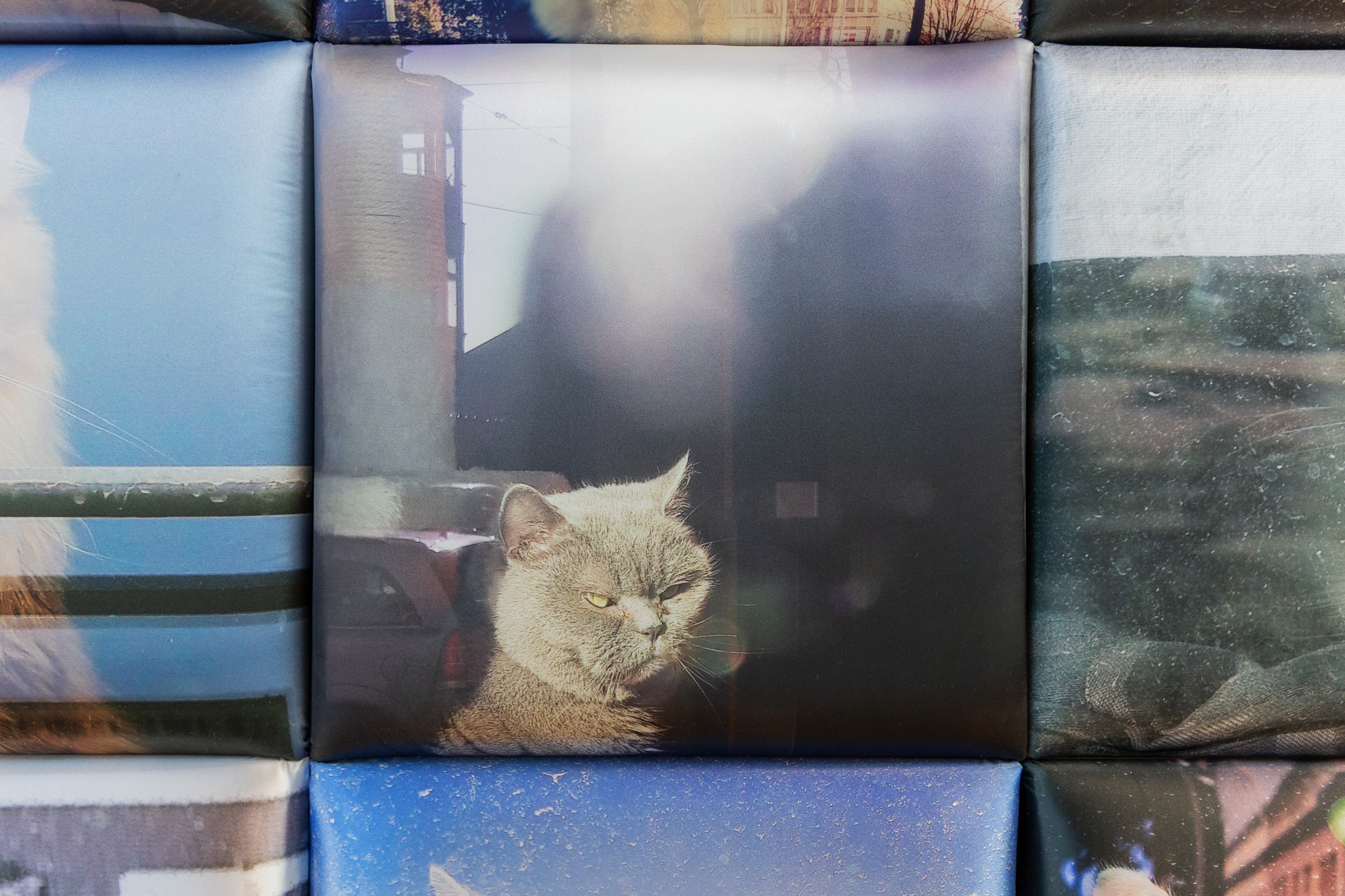 Nejisté domovy: Judith Miriam Escherlor