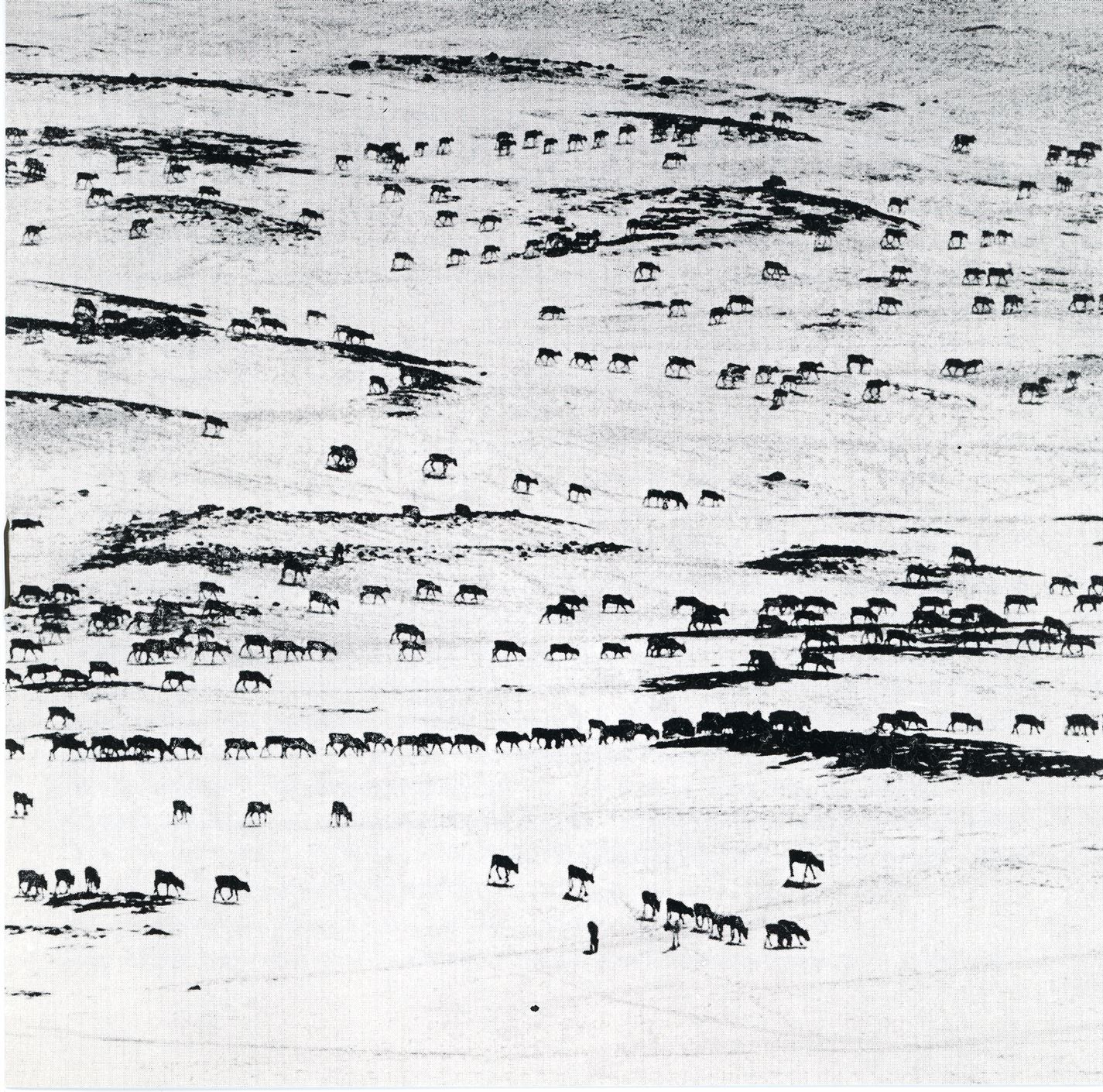 Skupina Tio fotografer