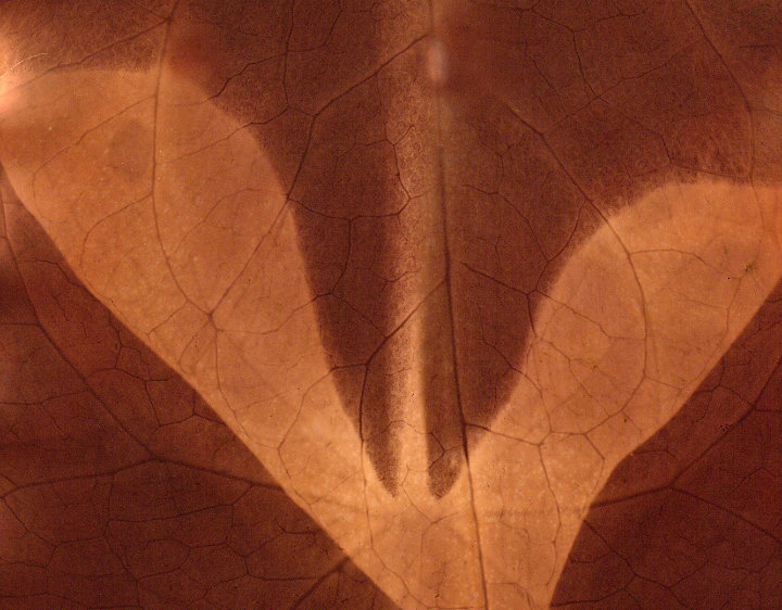 Workshop z&nbsp;labu LABODOBLE s&nbsp;Georgym Bagdasarovem