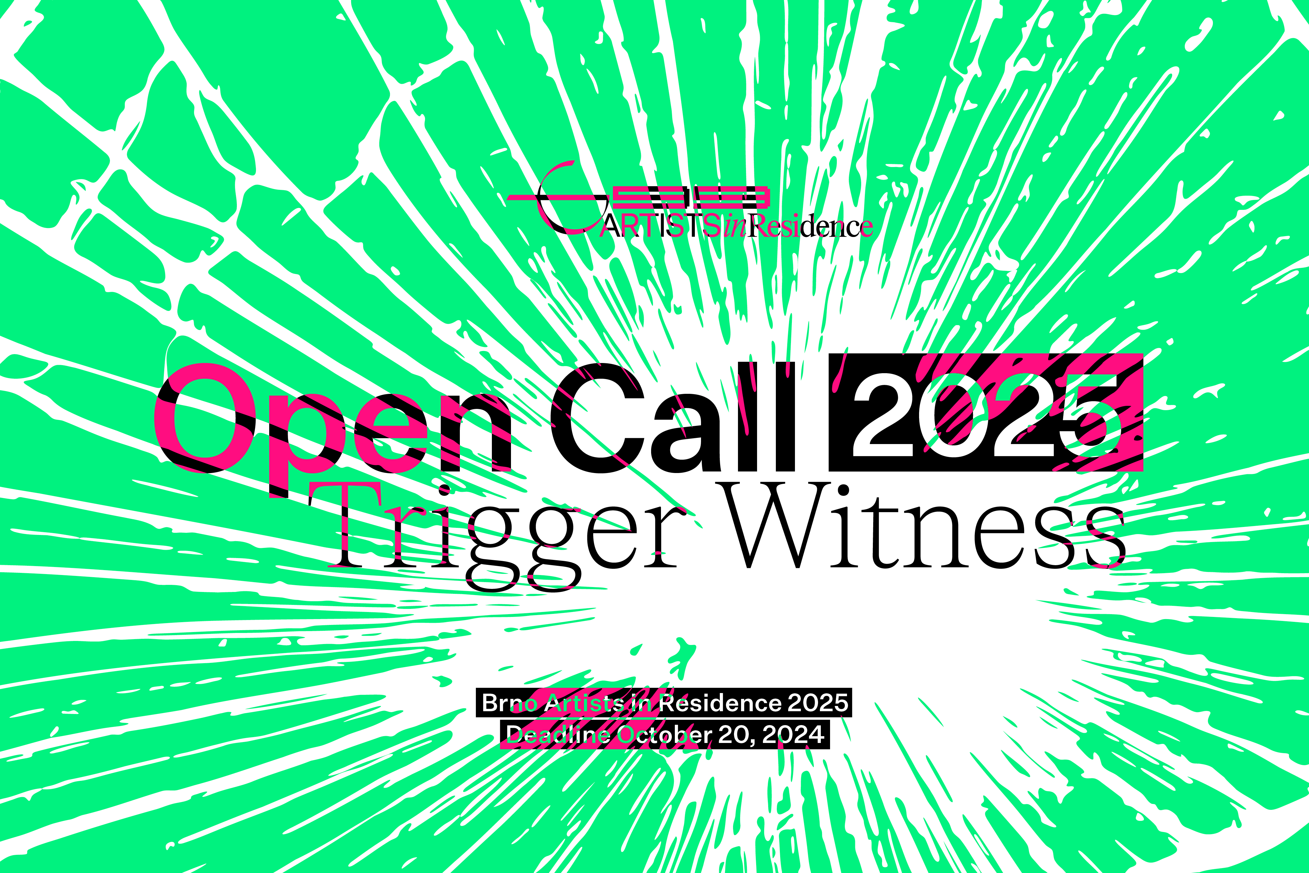 Open Call BAiR 2025: Trigger Witness