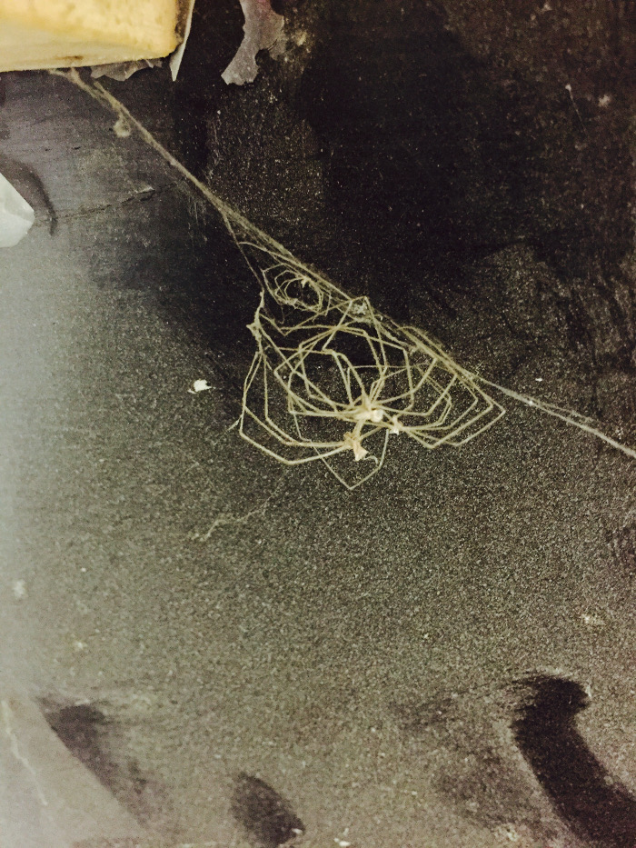 Aleš Čermák, A Performative Language