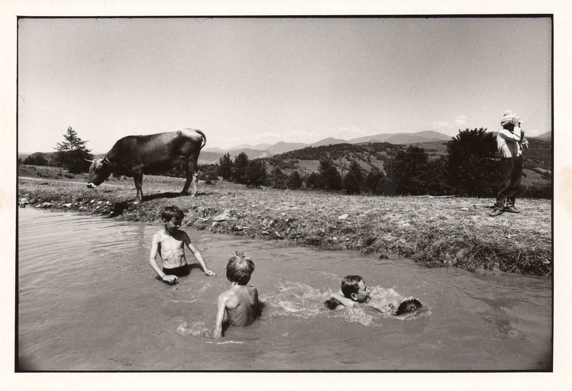 Dana Kyndrová – fotografie