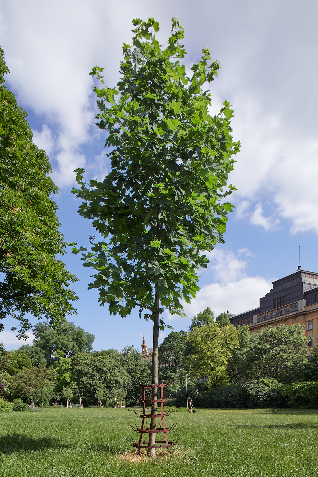 Monogramista T. D.: Duchampion