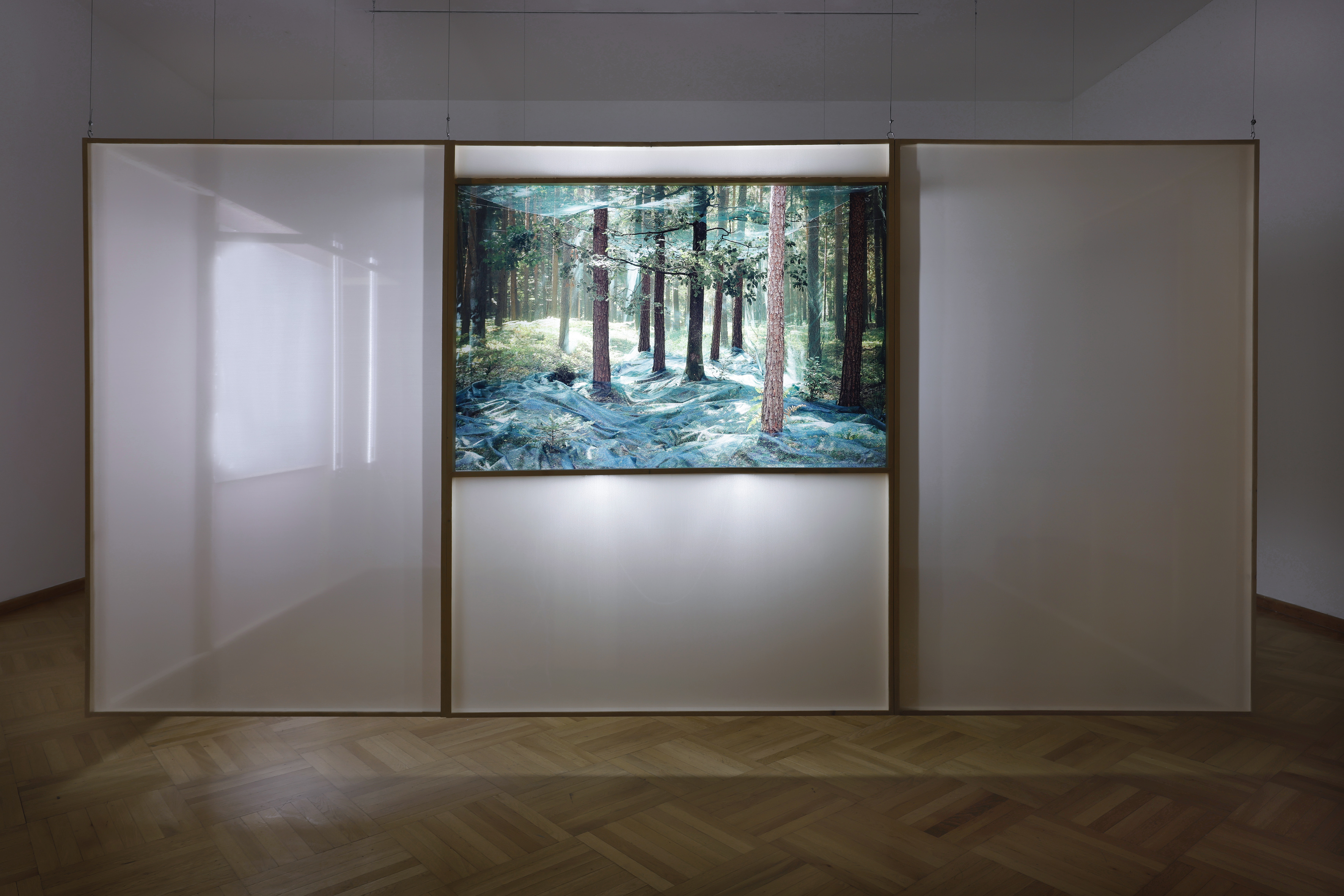 We Have Never Been Forest