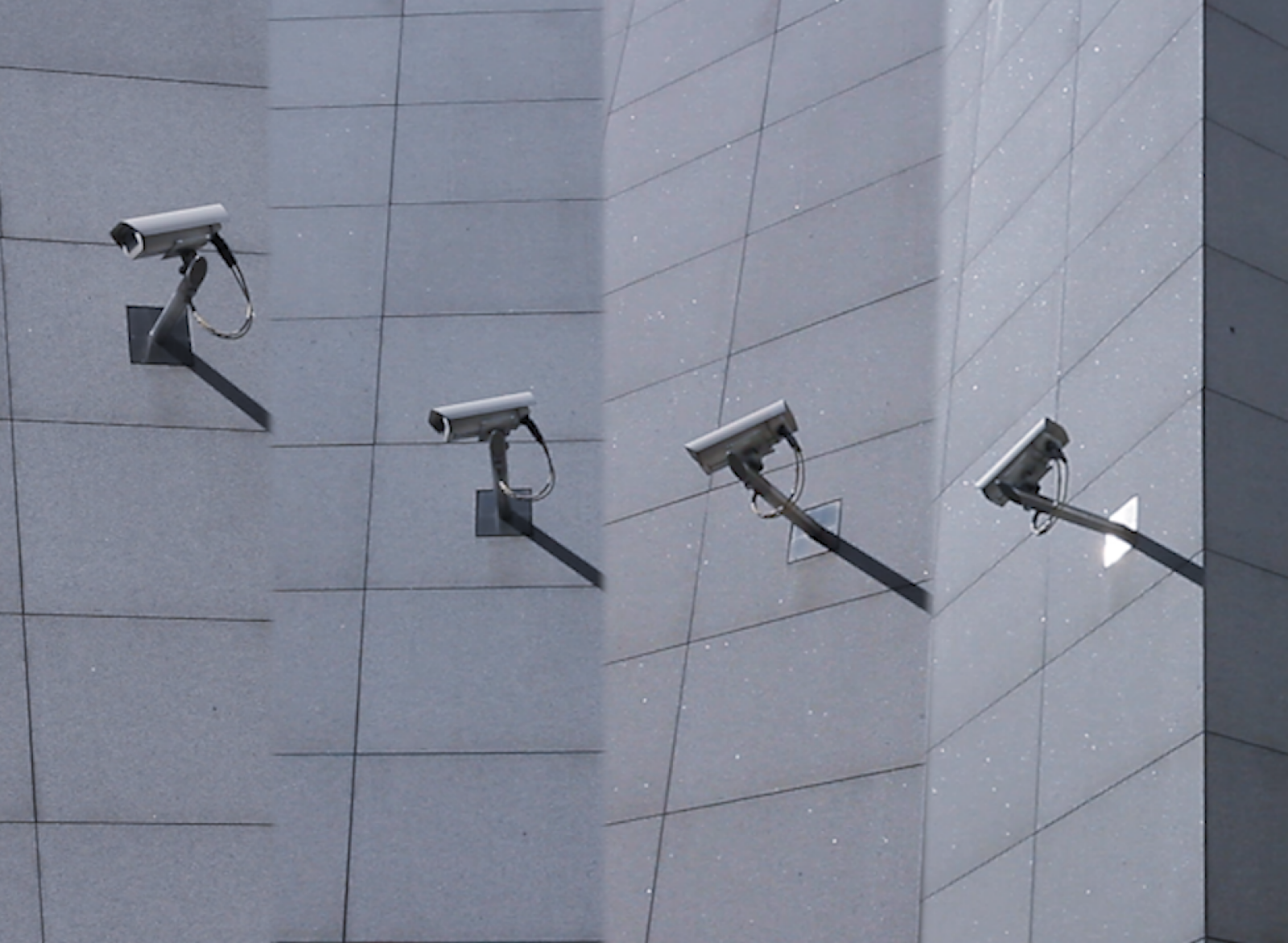 Distorted Session #3: The (Un)Free Image: From Video Art to AI