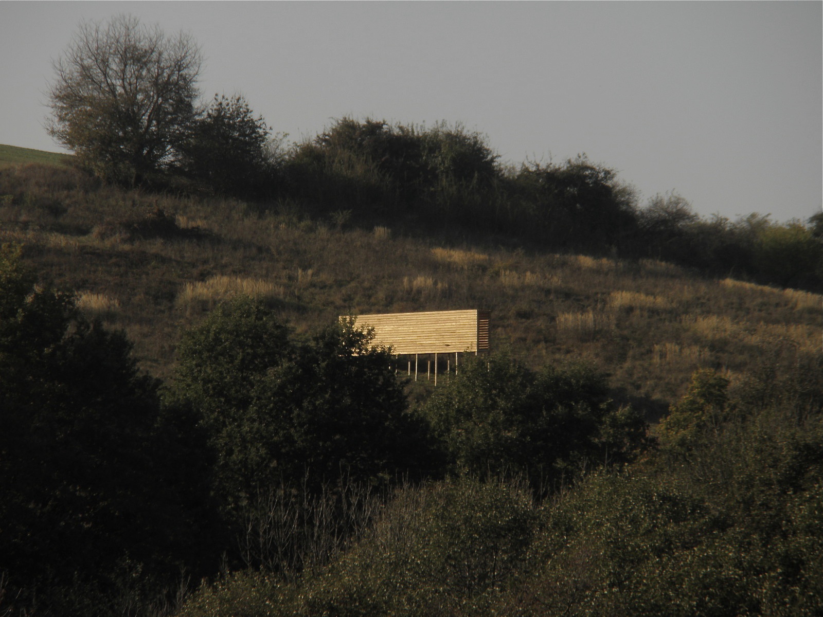 Kultivace krajiny a&nbsp;současné umělecké iniciativy