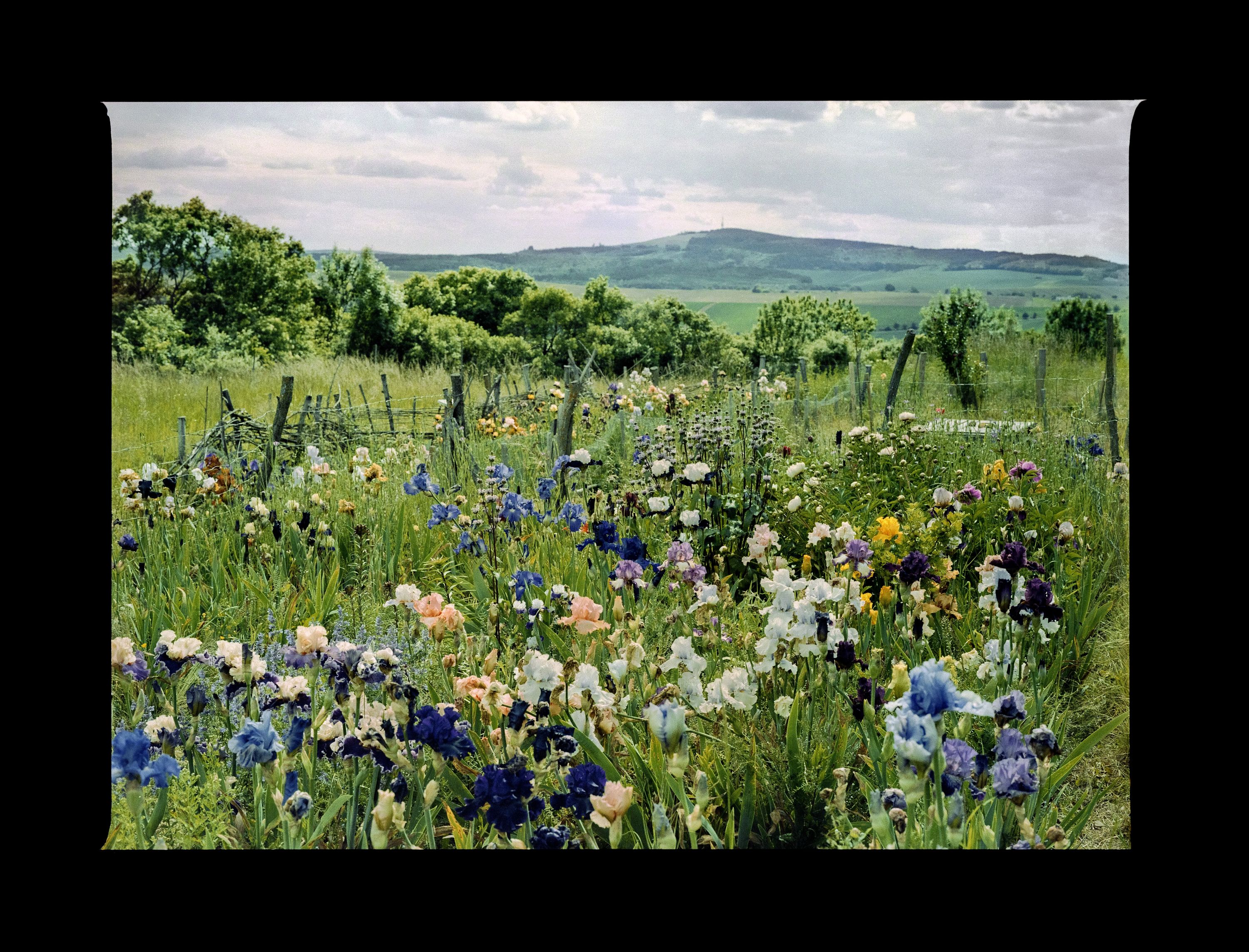 Terapie venkovem Dernisážová