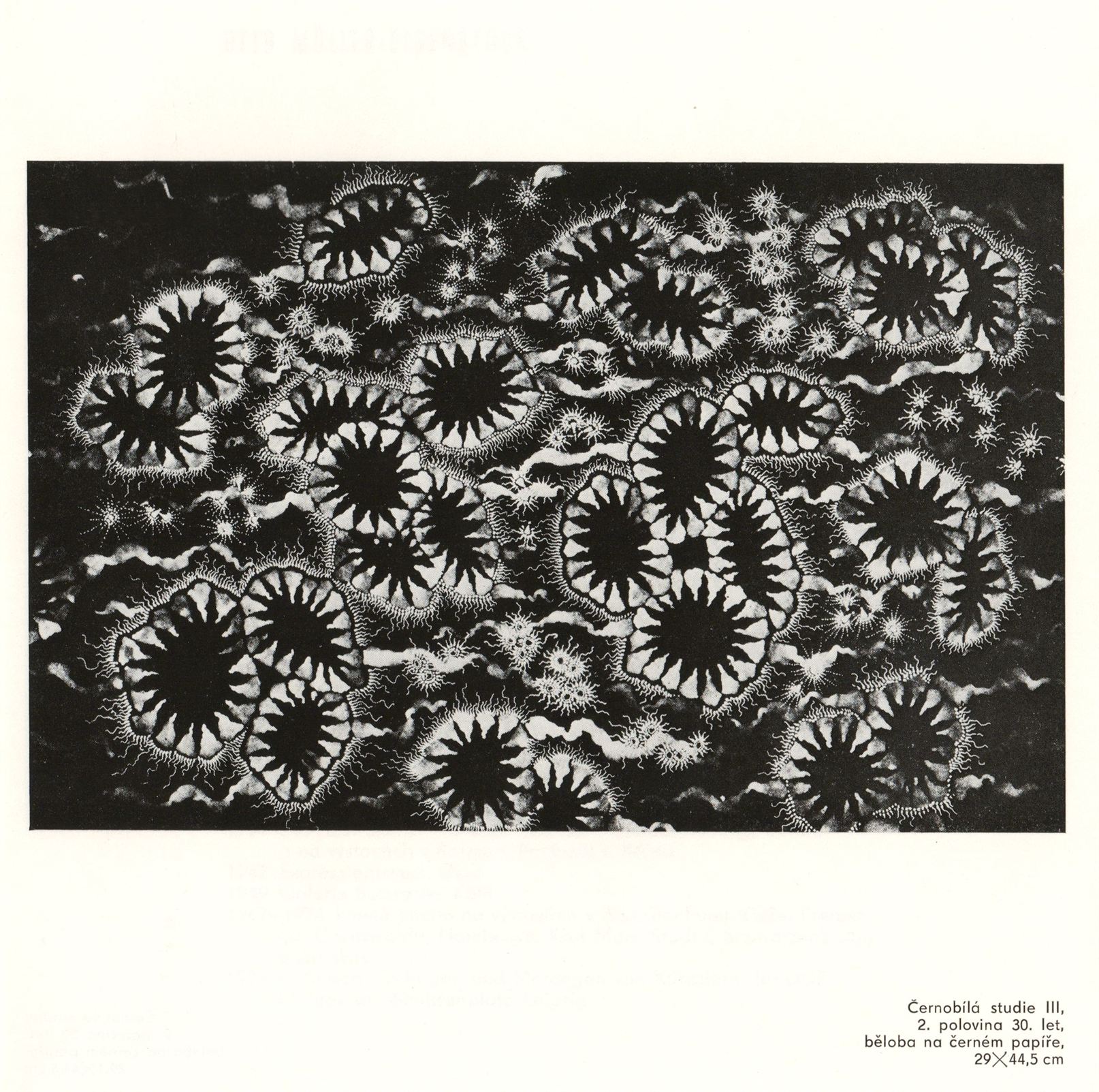 Otto Müller-Eibenstock – fotogramy a&nbsp;kresby