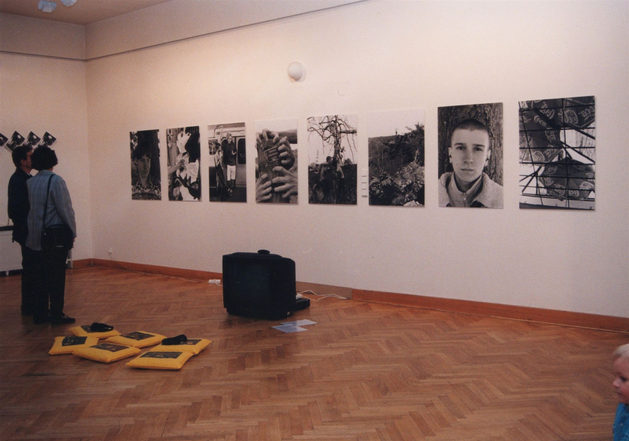 Milena Dopitová – instalace 1992–1999