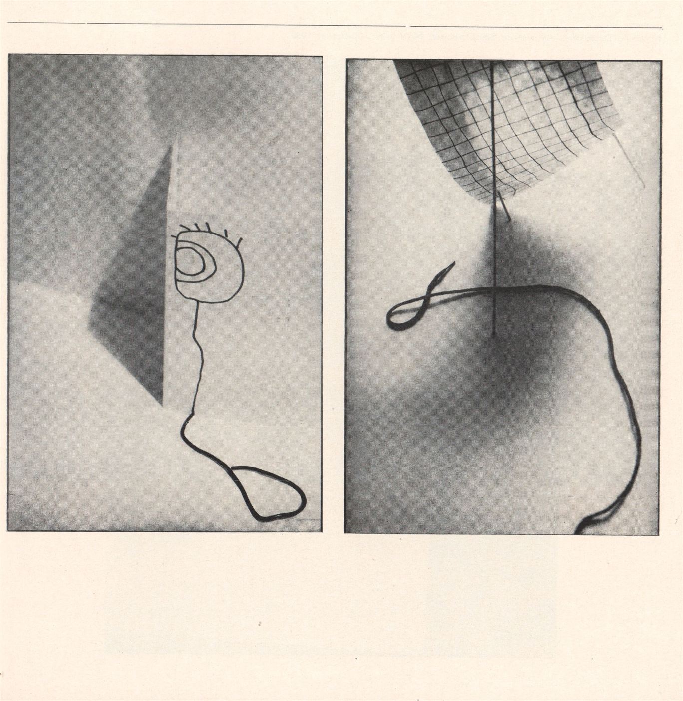 Oddělení užité fotografie SUPŠ v&nbsp;Brno