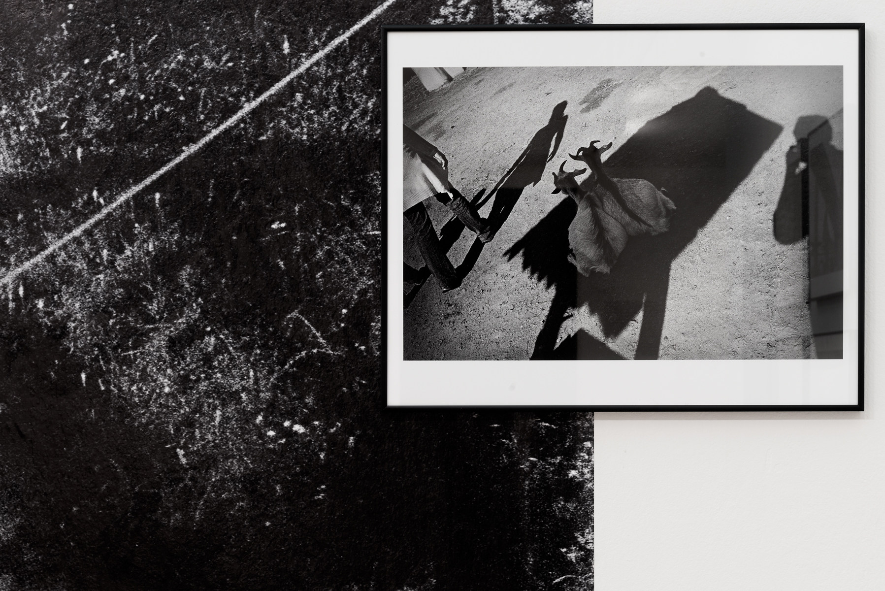 Jan Ambrůz, Jaroslav Pulicar