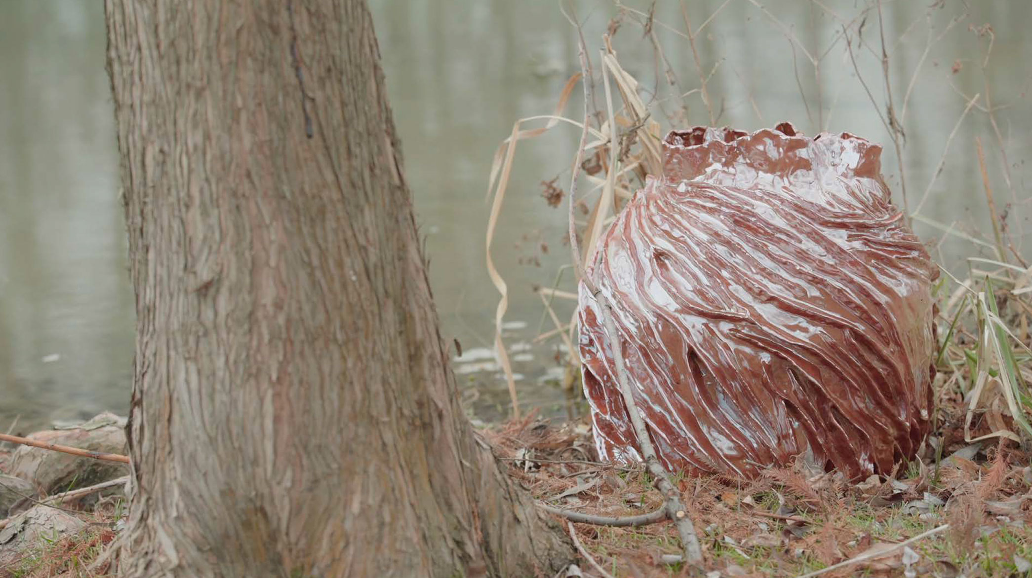 Csilla Nagy, Slávo Krekovič: Symbionts 2.0