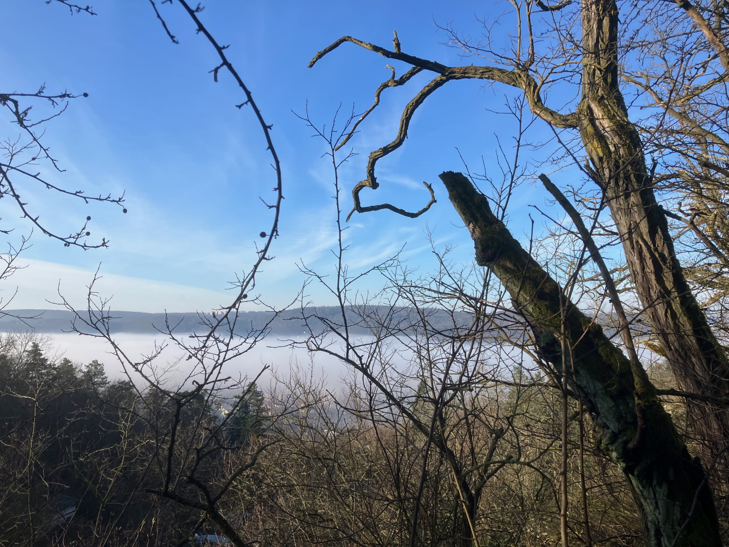 Tomáš Šenkyřík: Soundscapes of Brno, Human And Non-Human Sounds