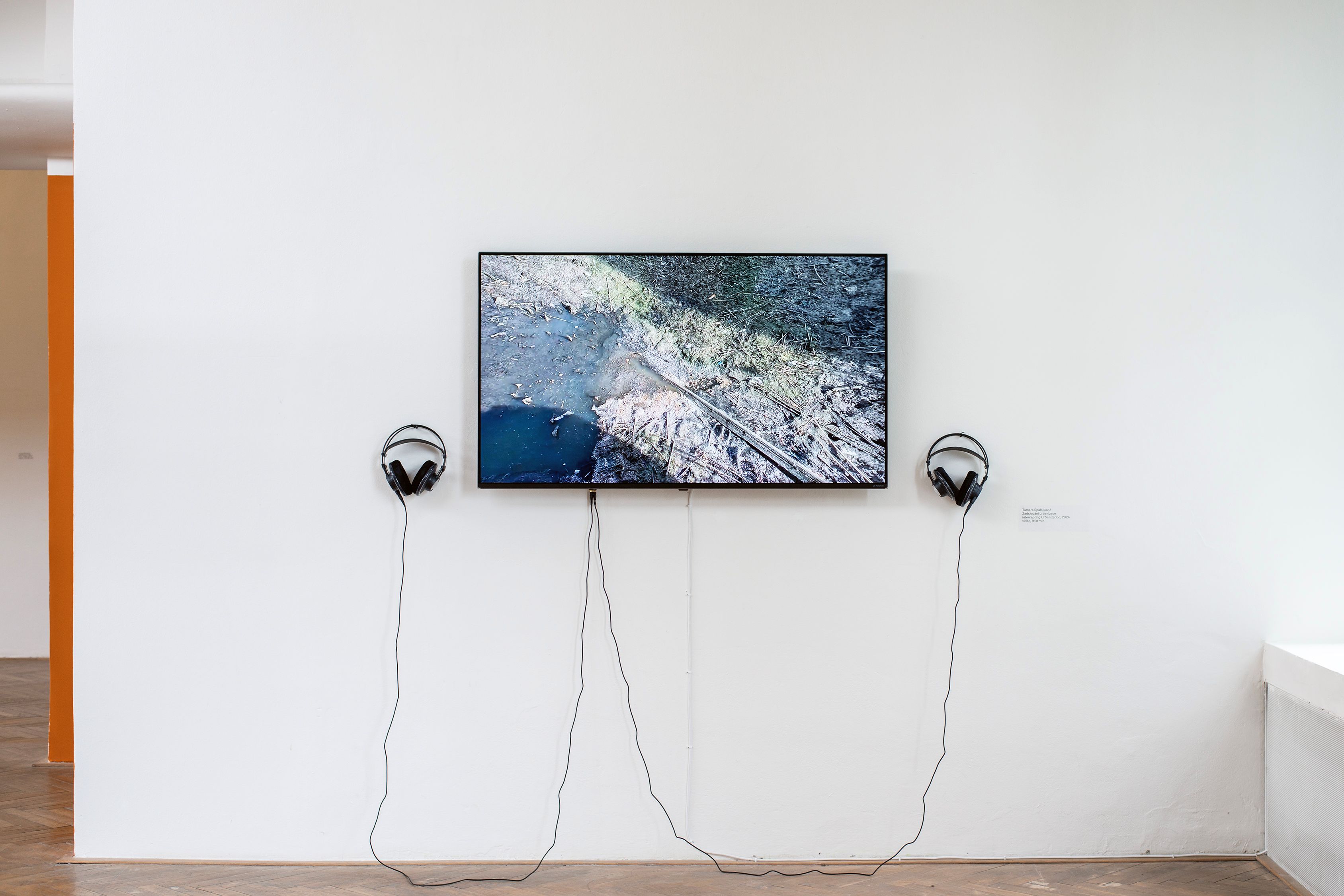 Nejisté domovy: Tamara Spalajković