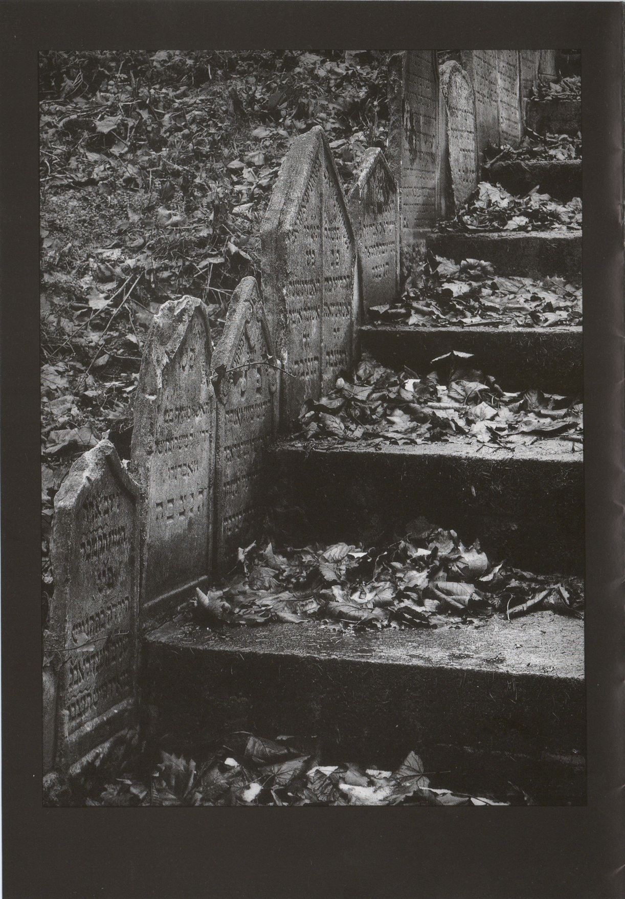 Signum – židovské hřbitovy