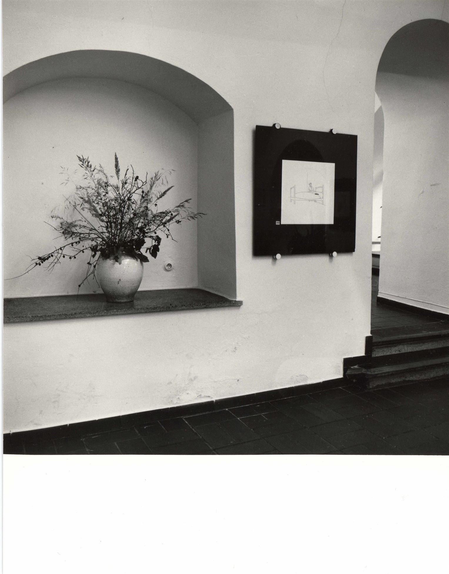 Marie Plotěná – kreslený humor