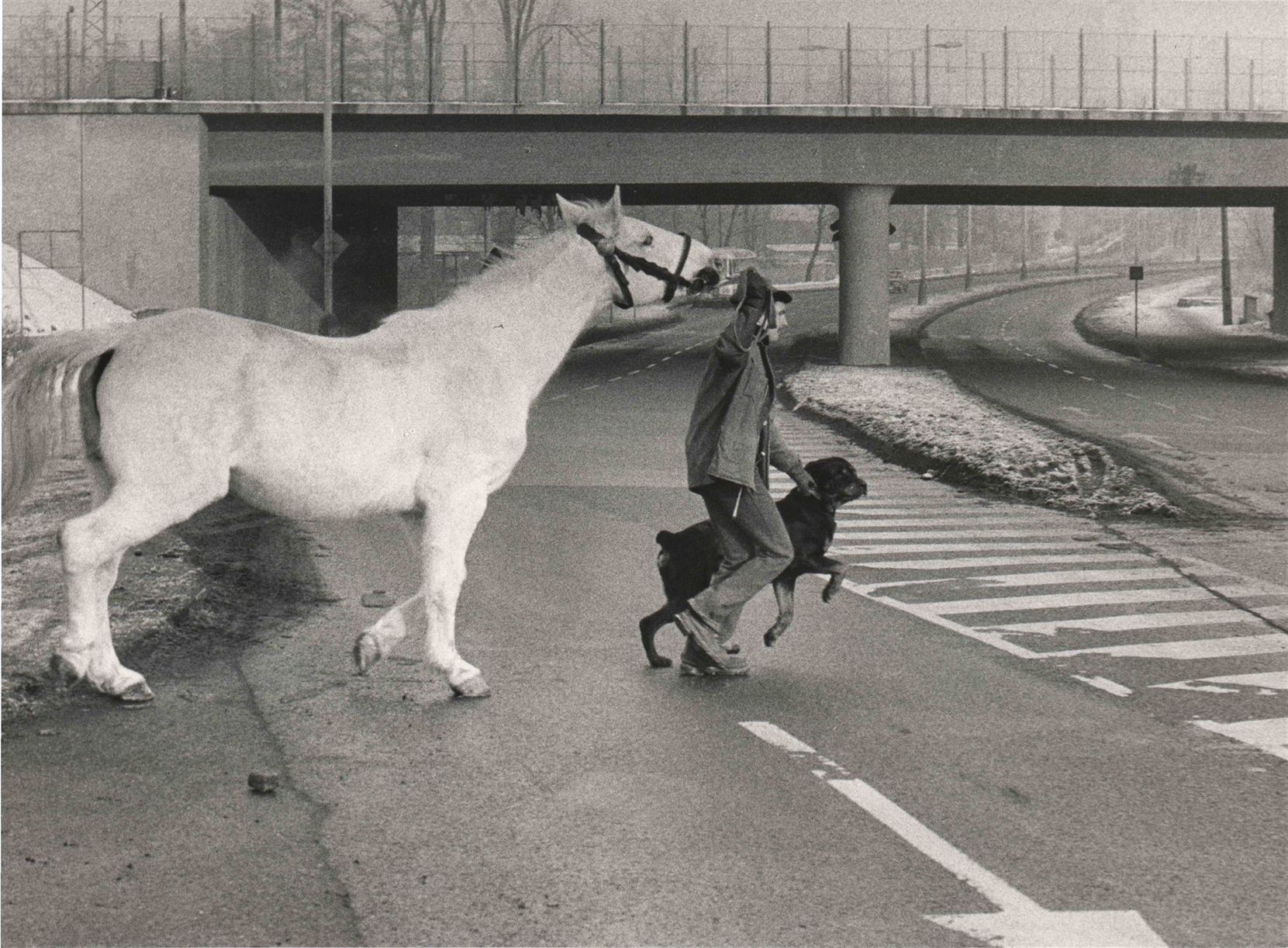František Dostál – fotografie