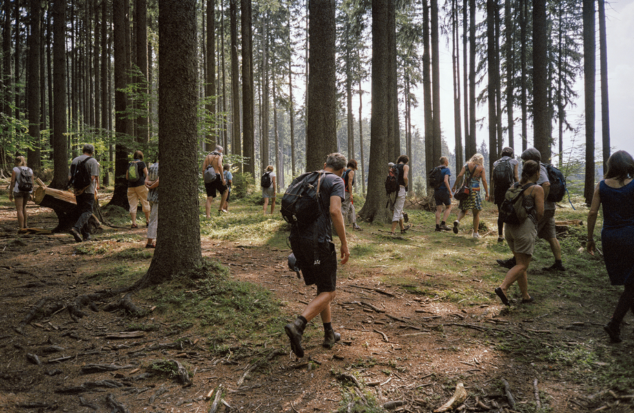 We Have Never Been Forest