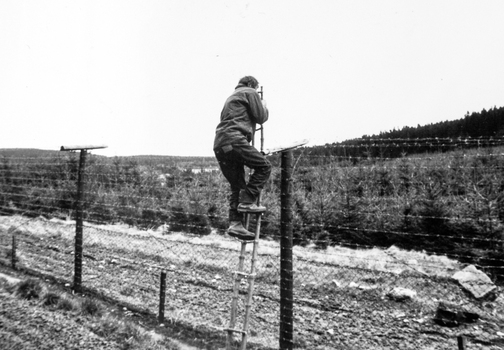 We Are Strangers. Here and There.