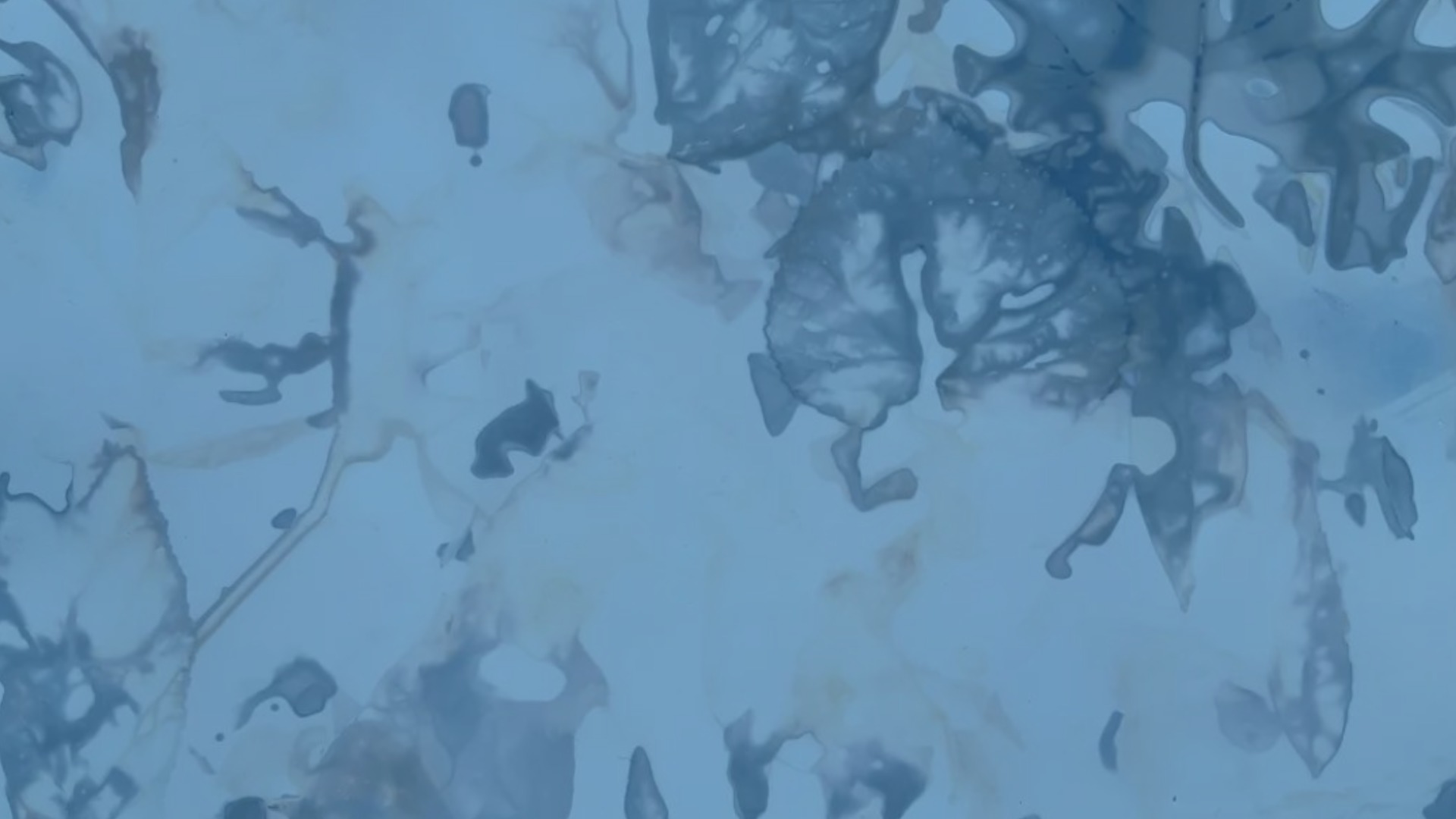 Michaela Davidová: The Metabolising Analogue