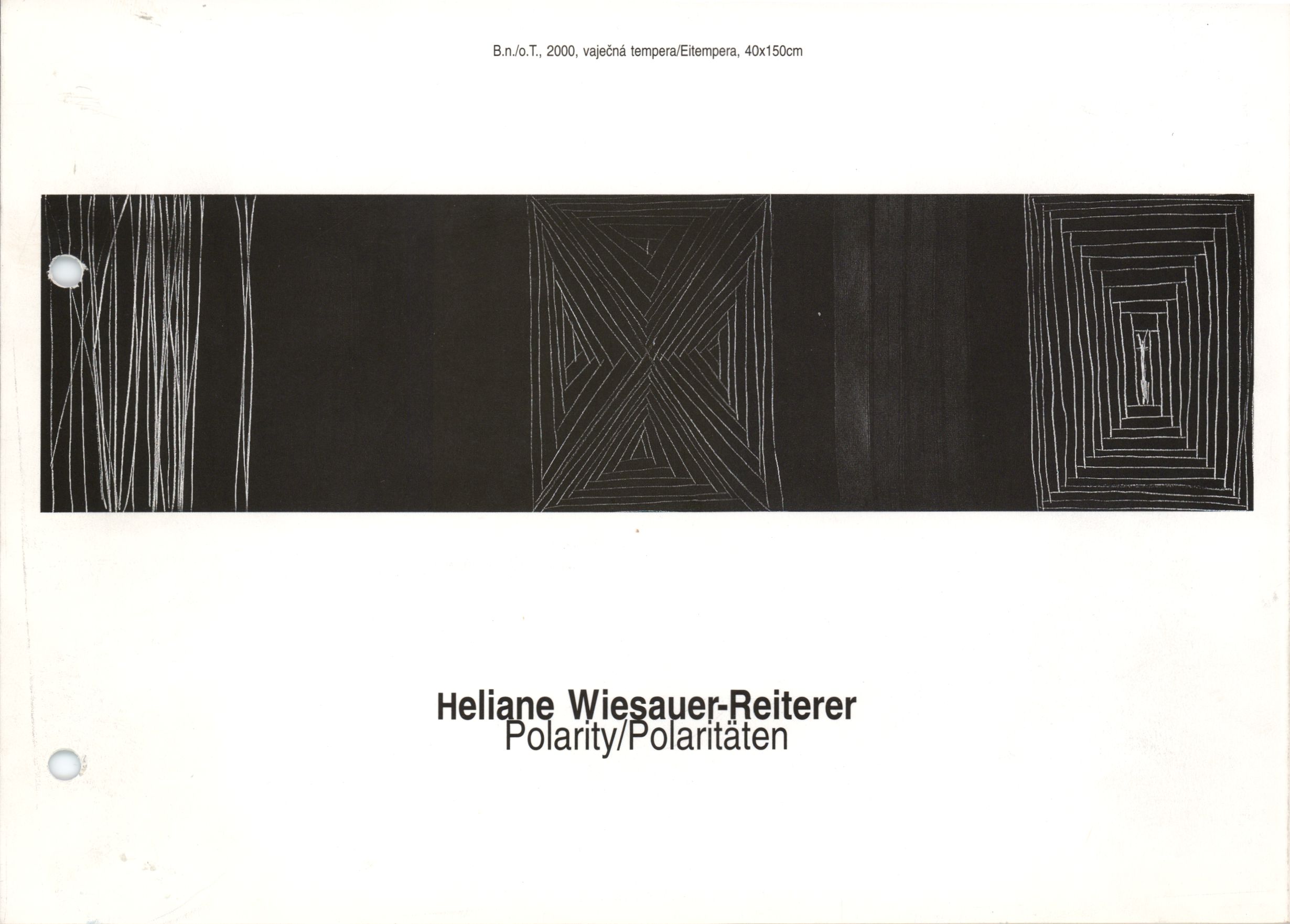 Heliane Wiesauer-Reiterer /AU/. Polarity