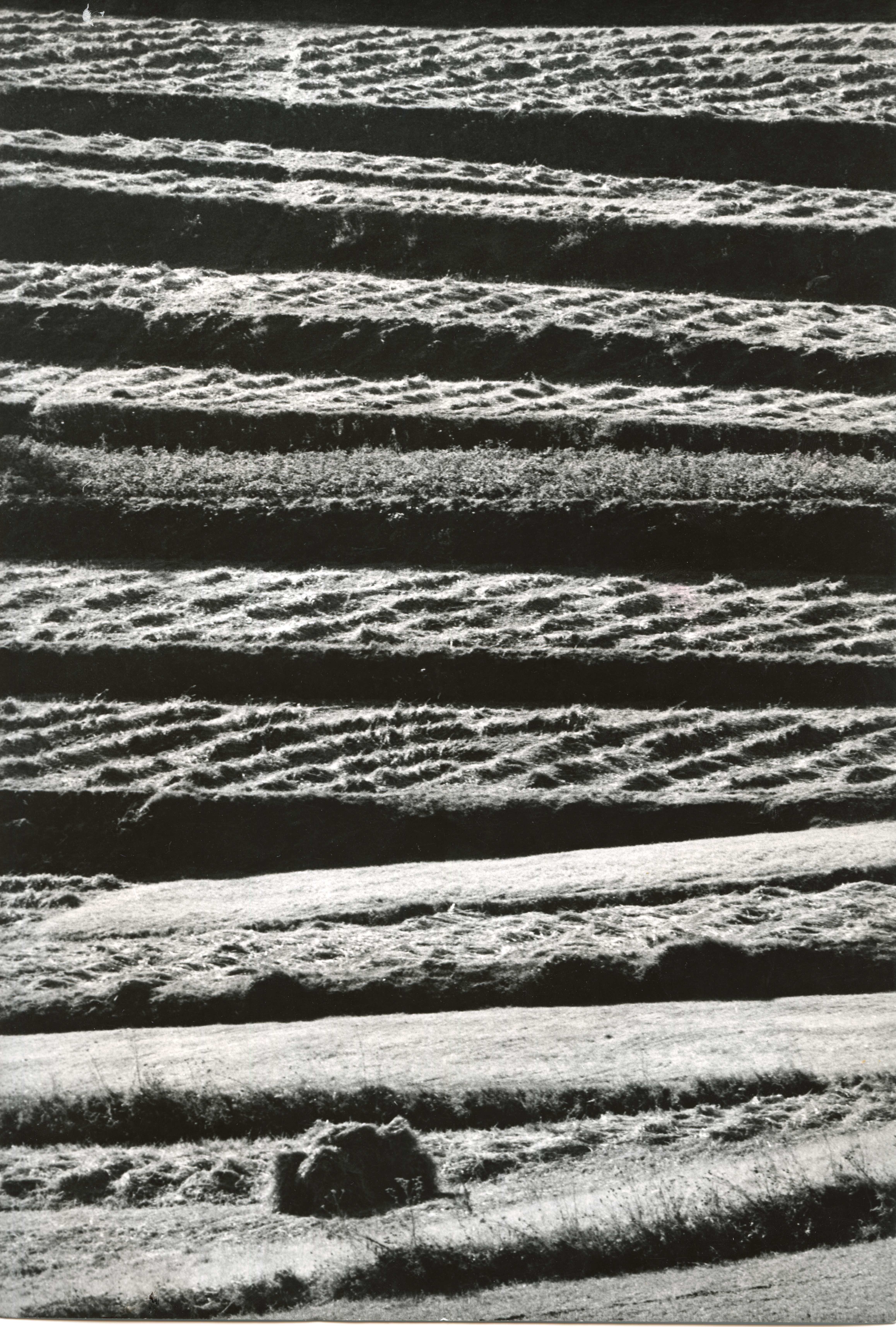 Martin Martinček – fotografie