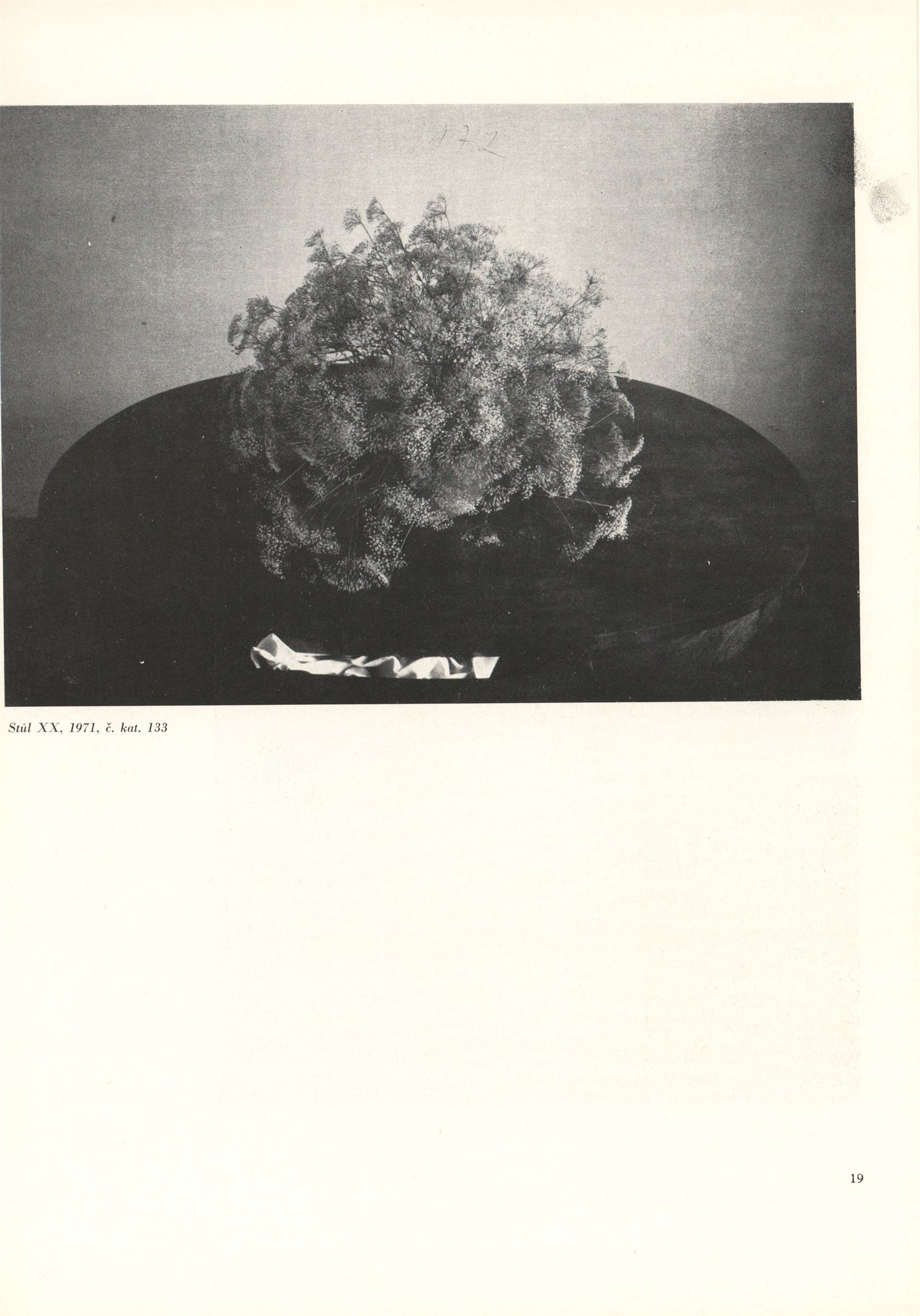 Jan Svoboda – fotografie