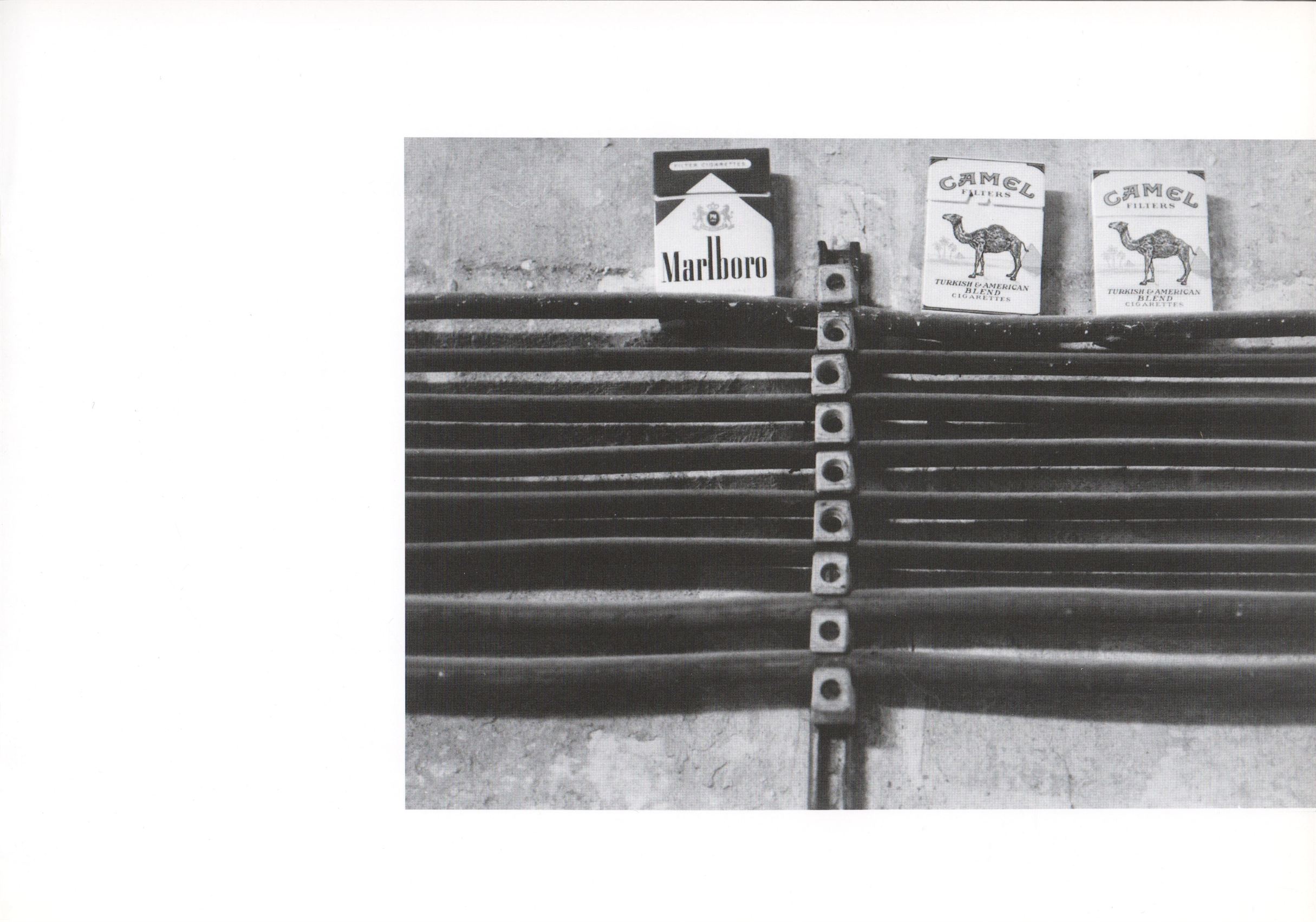 Pavel Nádvorník – fotografie