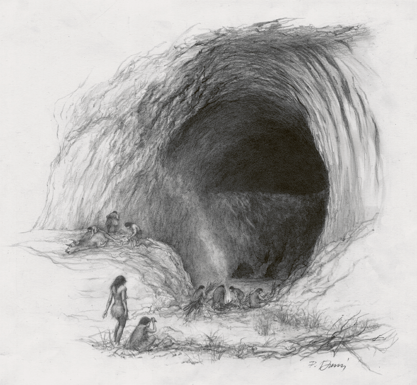 Scientific illustration with Pavel Dvorský