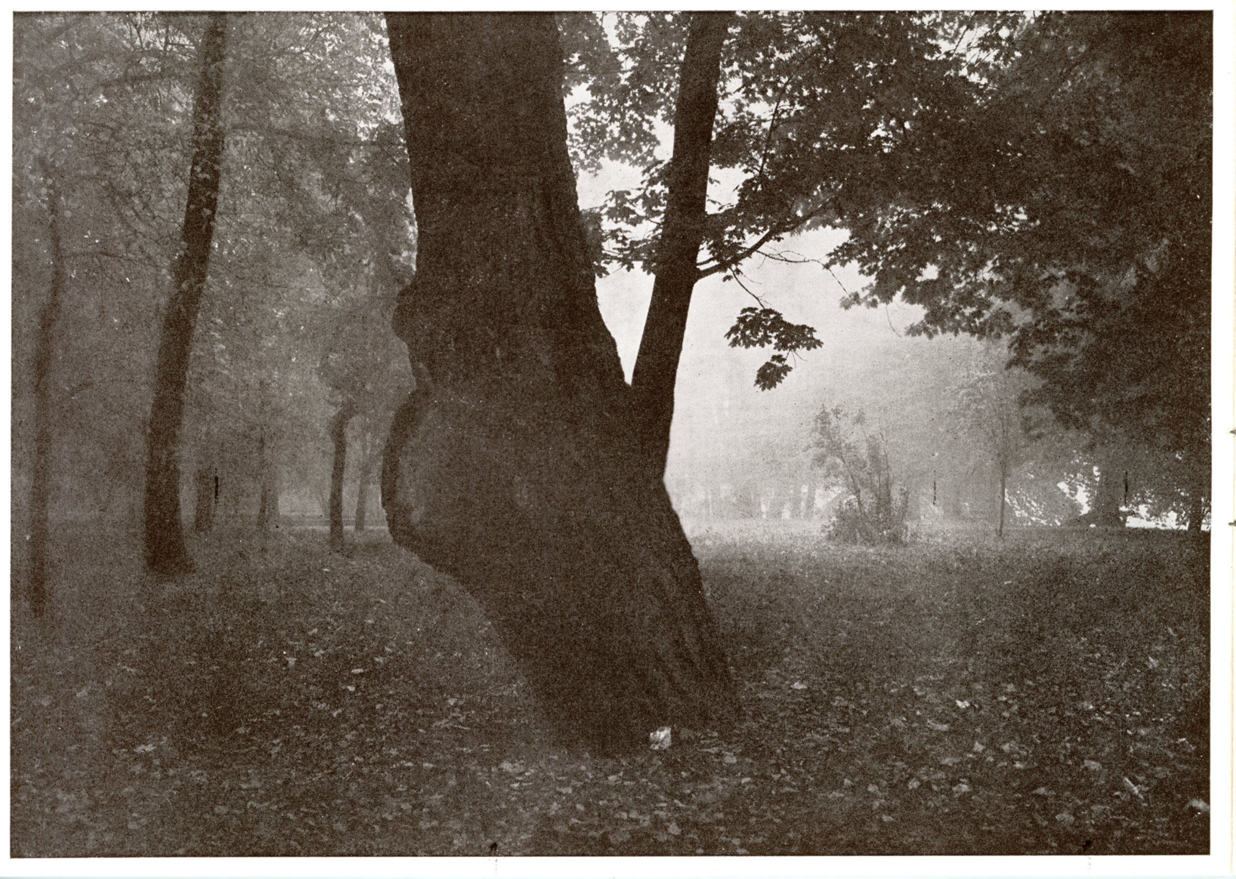 Fotografie Josefa Sudka