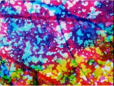 Visual effects in the paintings of Jaroslav Kučera and their artistic  qualities