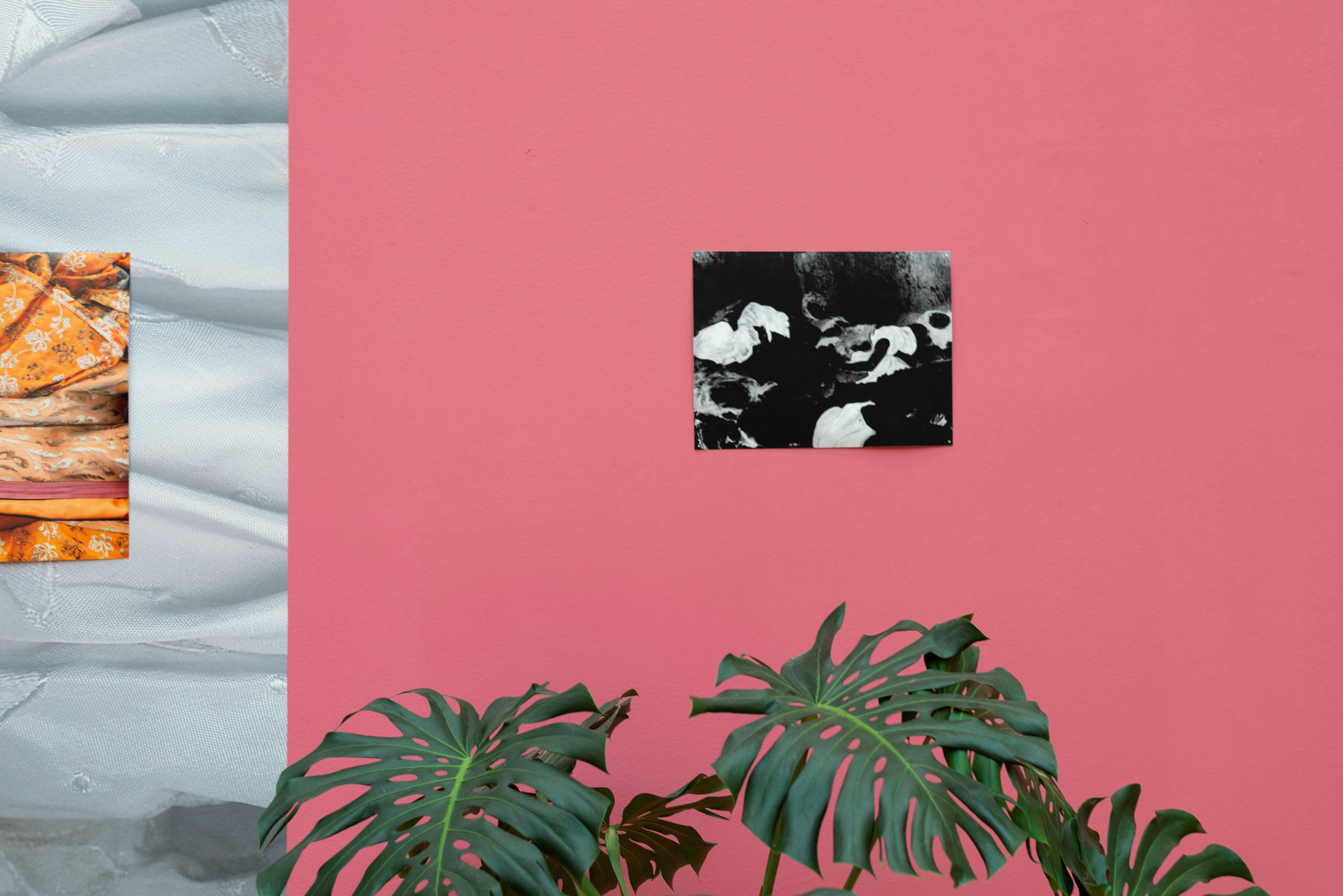 Nejisté domovy: Anna Gollwitzer