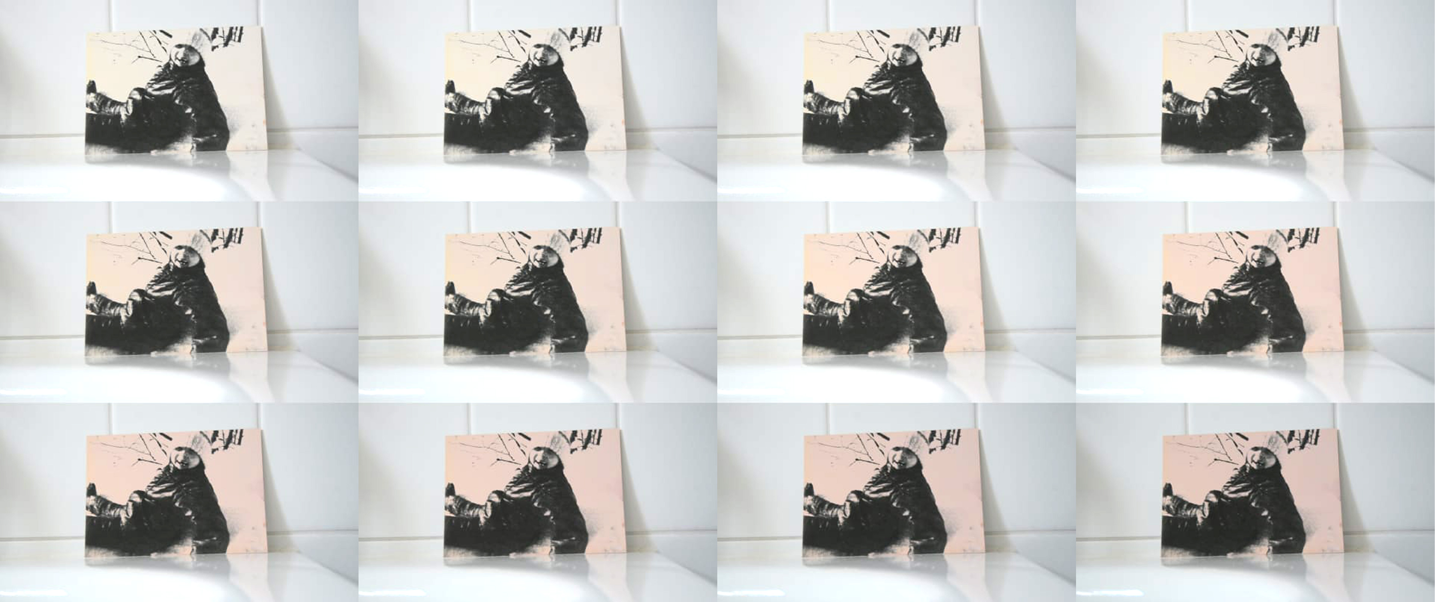 Michaela Davidová (CZ)