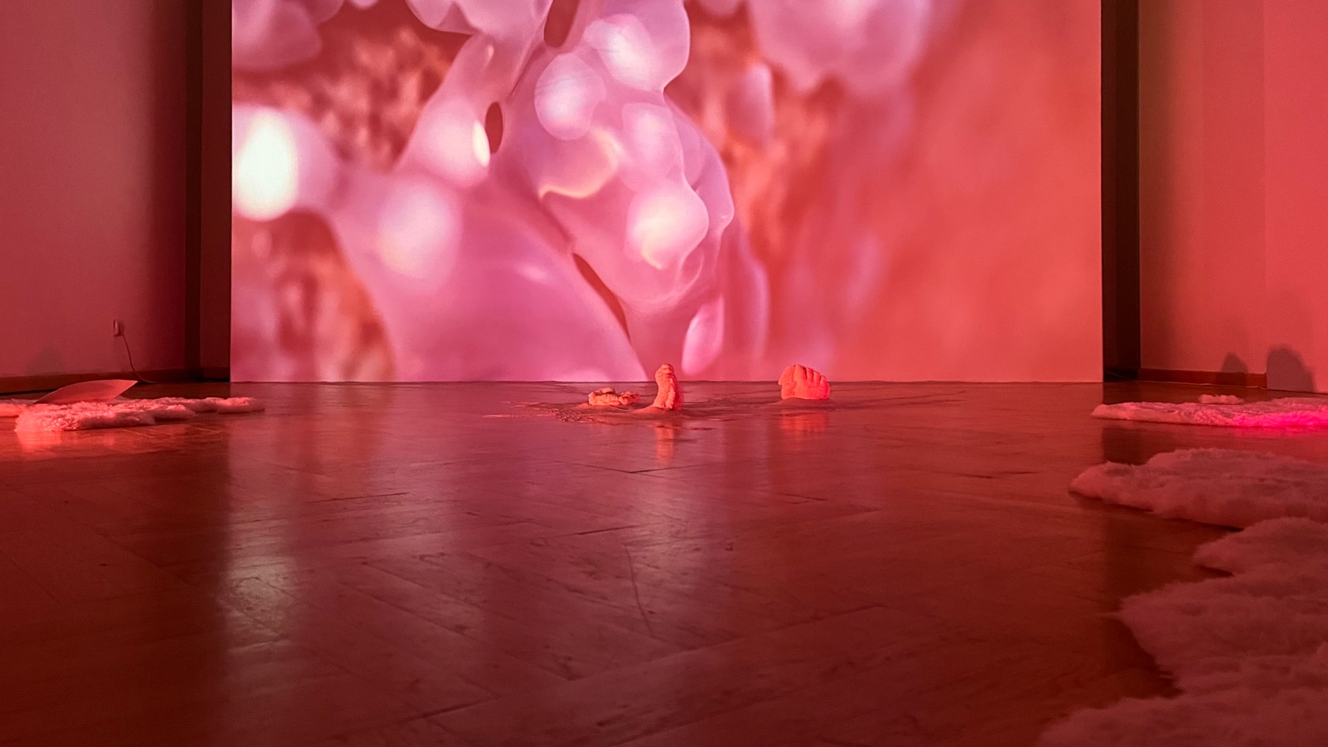 Patrícia Chamrazová: Resensing - Beyond Symbiosis & ScreenSaverGallery