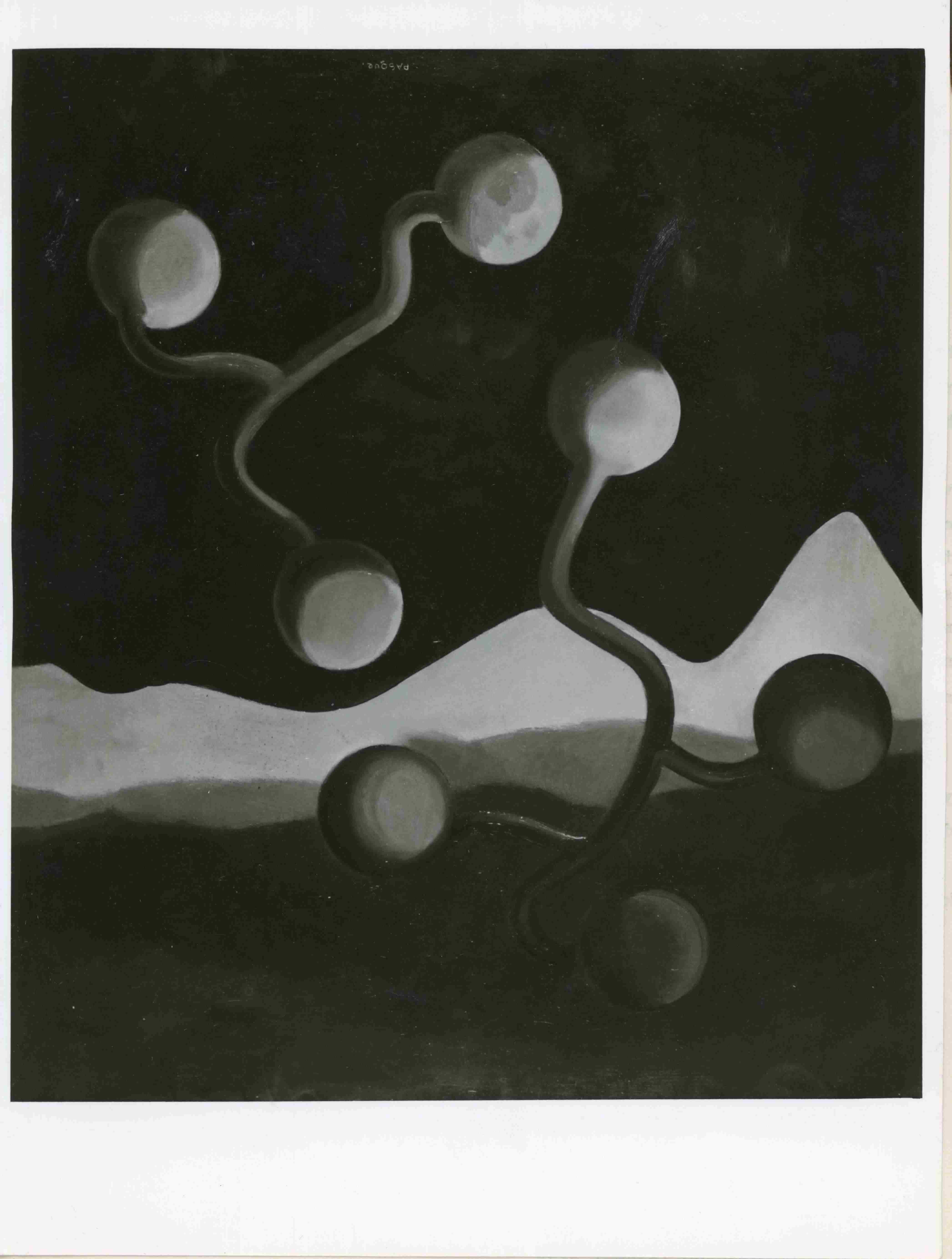 A. Pasque a&nbsp;M. Bucaille