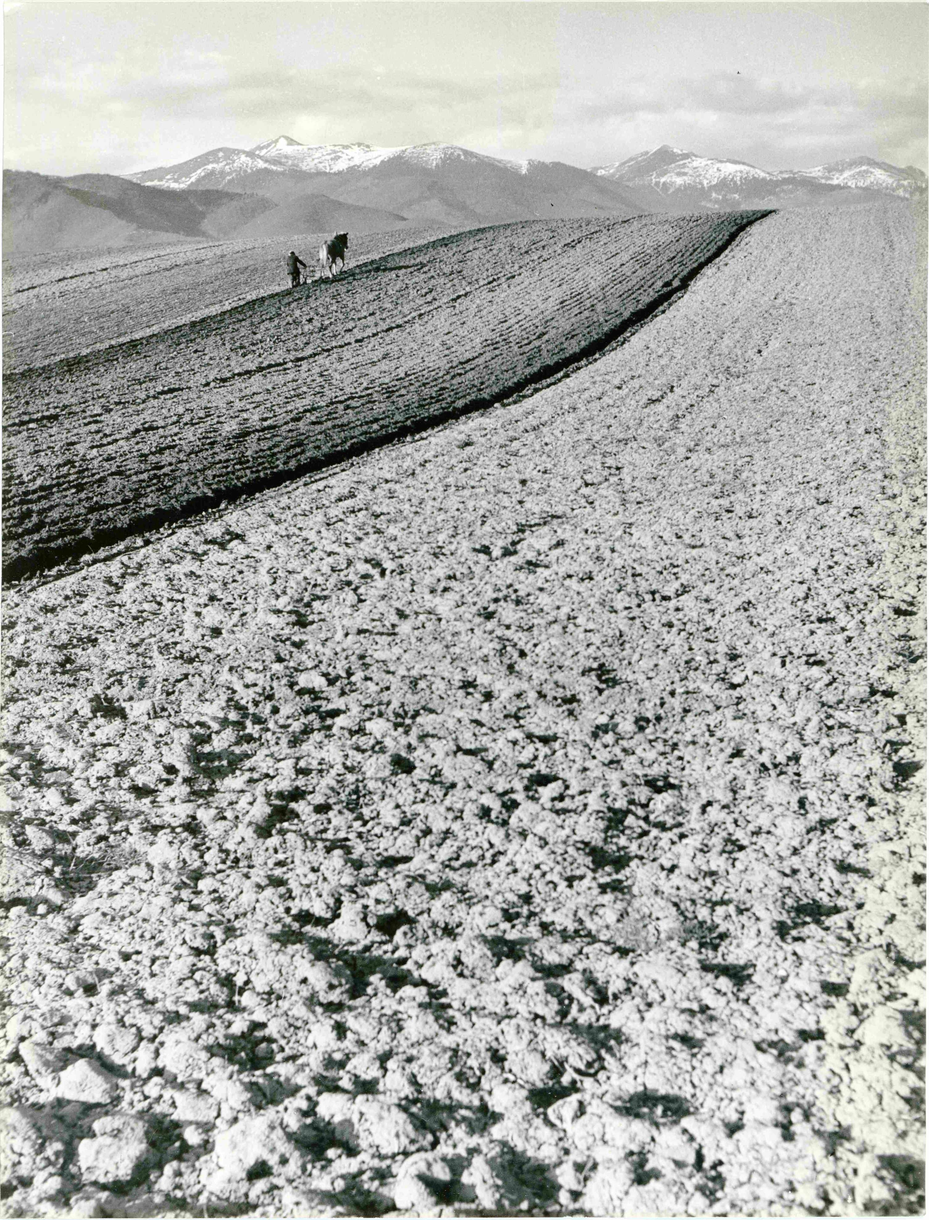 Karol Kállay – fotografie