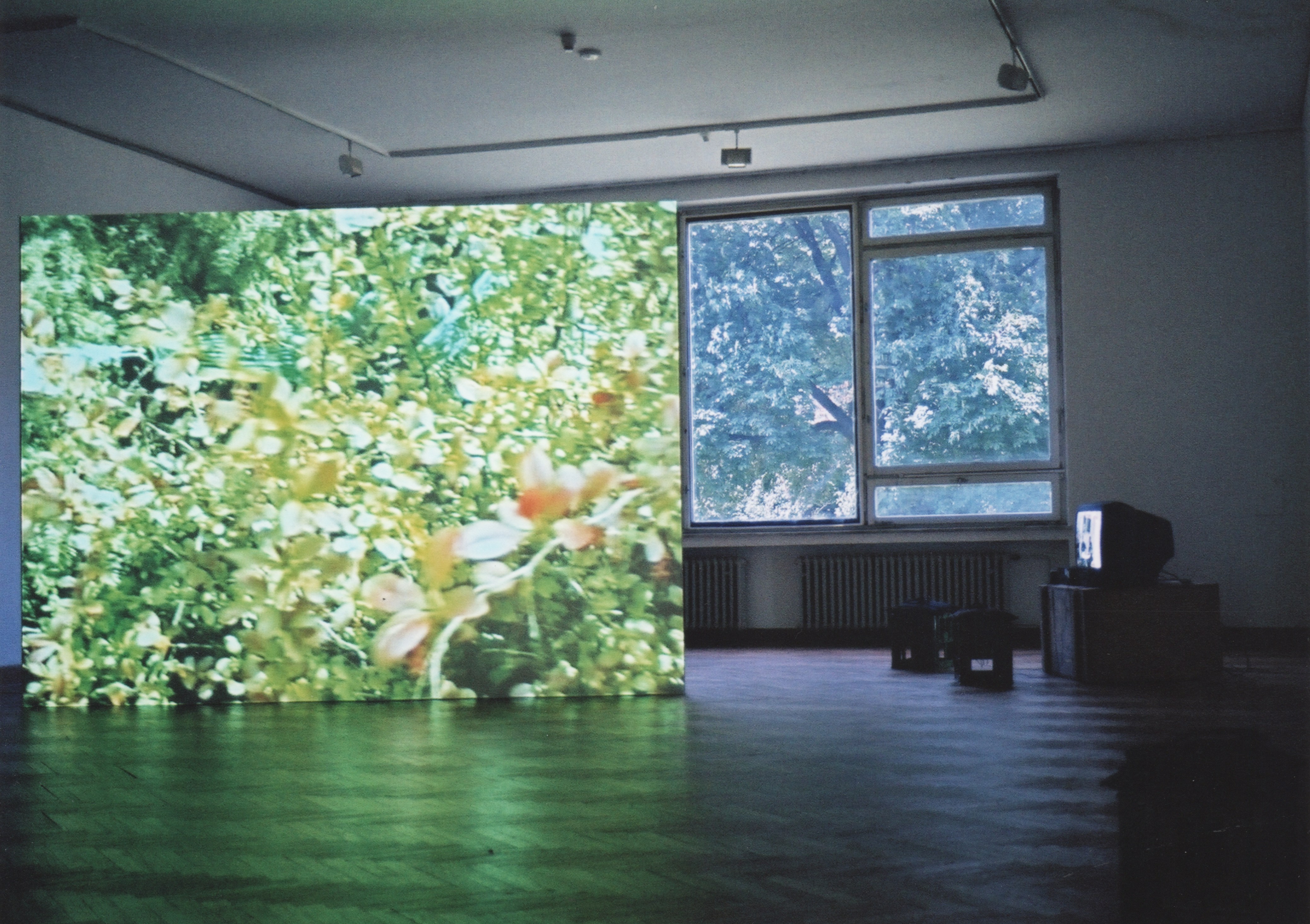 Saskia Janssen – Videoinstalace