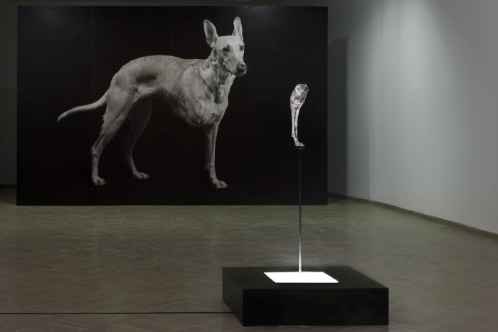 Dlouho jsem se sám sebe neptal a&nbsp;zapomněl jsem všechny odpovědi