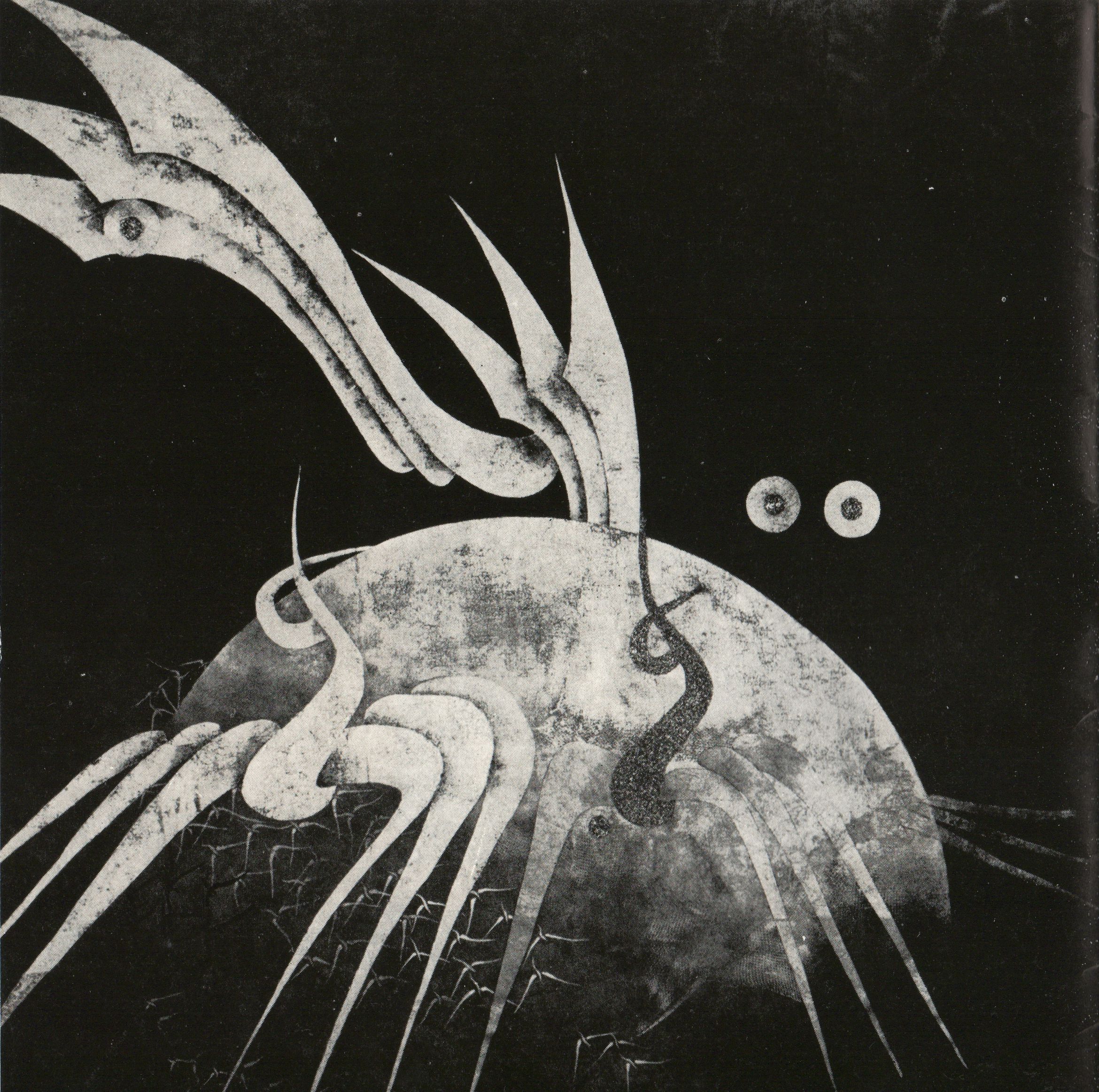 Markéta Venhodová – tapiserie