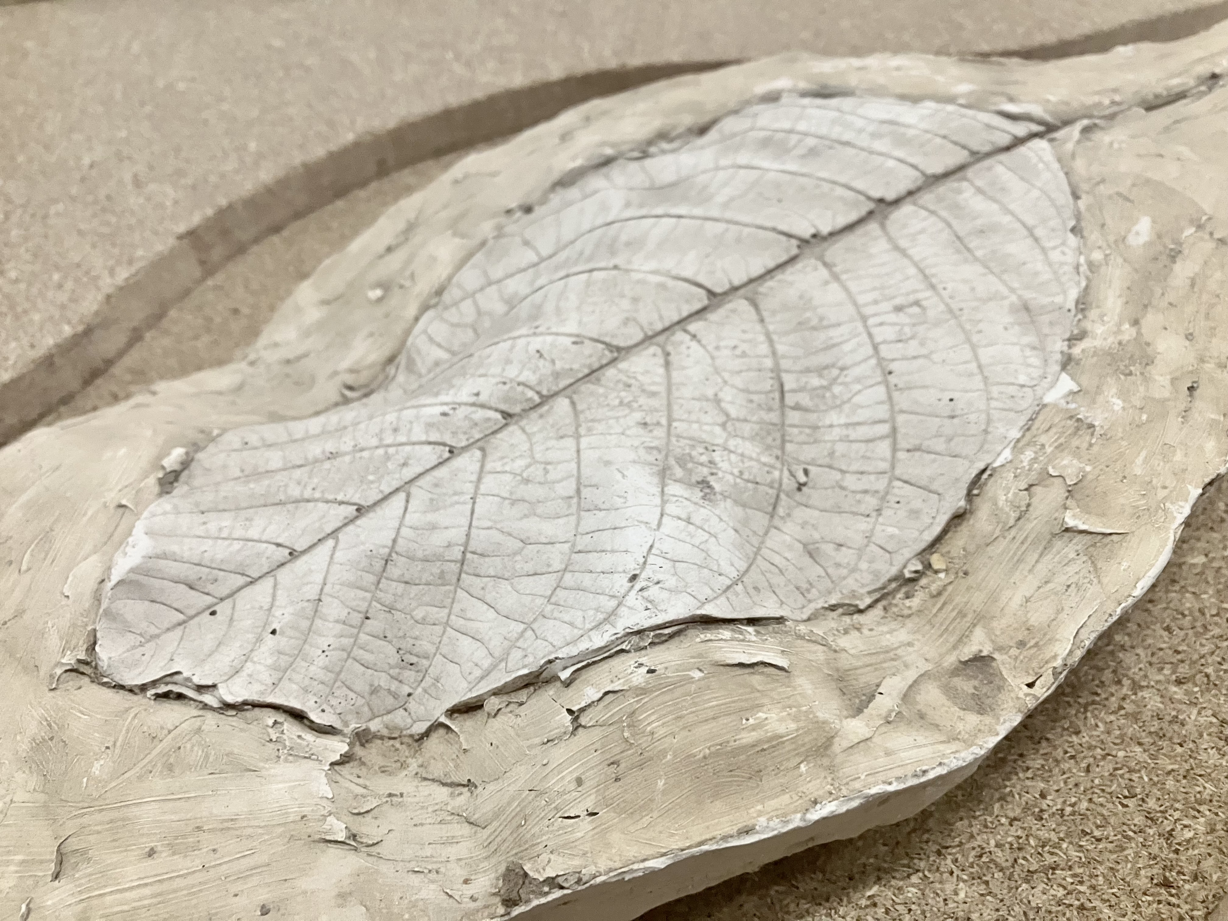 Pro mě v&nbsp;Domě v&nbsp;otisku