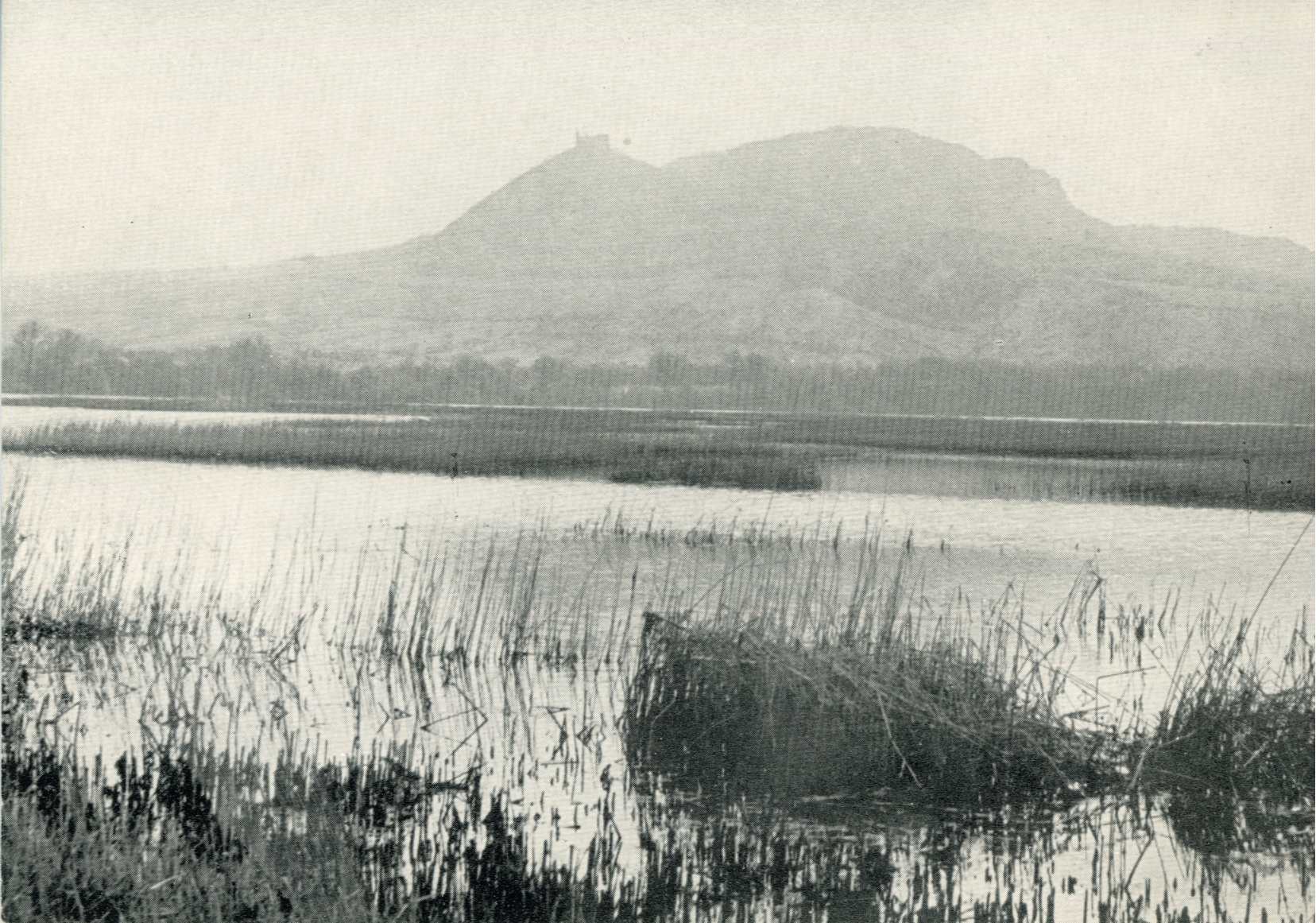 Pálava. Architektura a&nbsp;krajina ve fotografiích