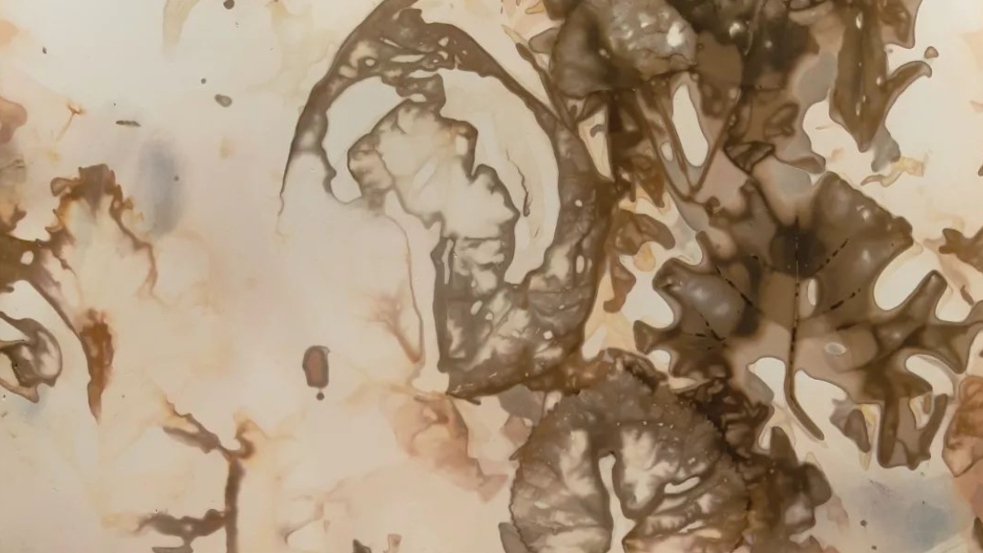 The Metabolising Analogue