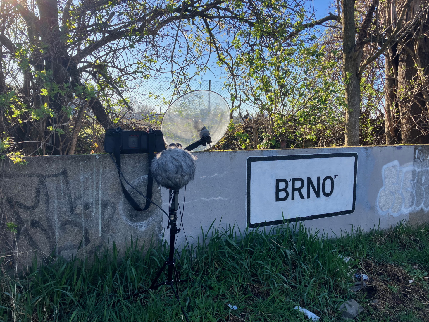 Soundscapes of Brno, Human And Non-Human Sounds