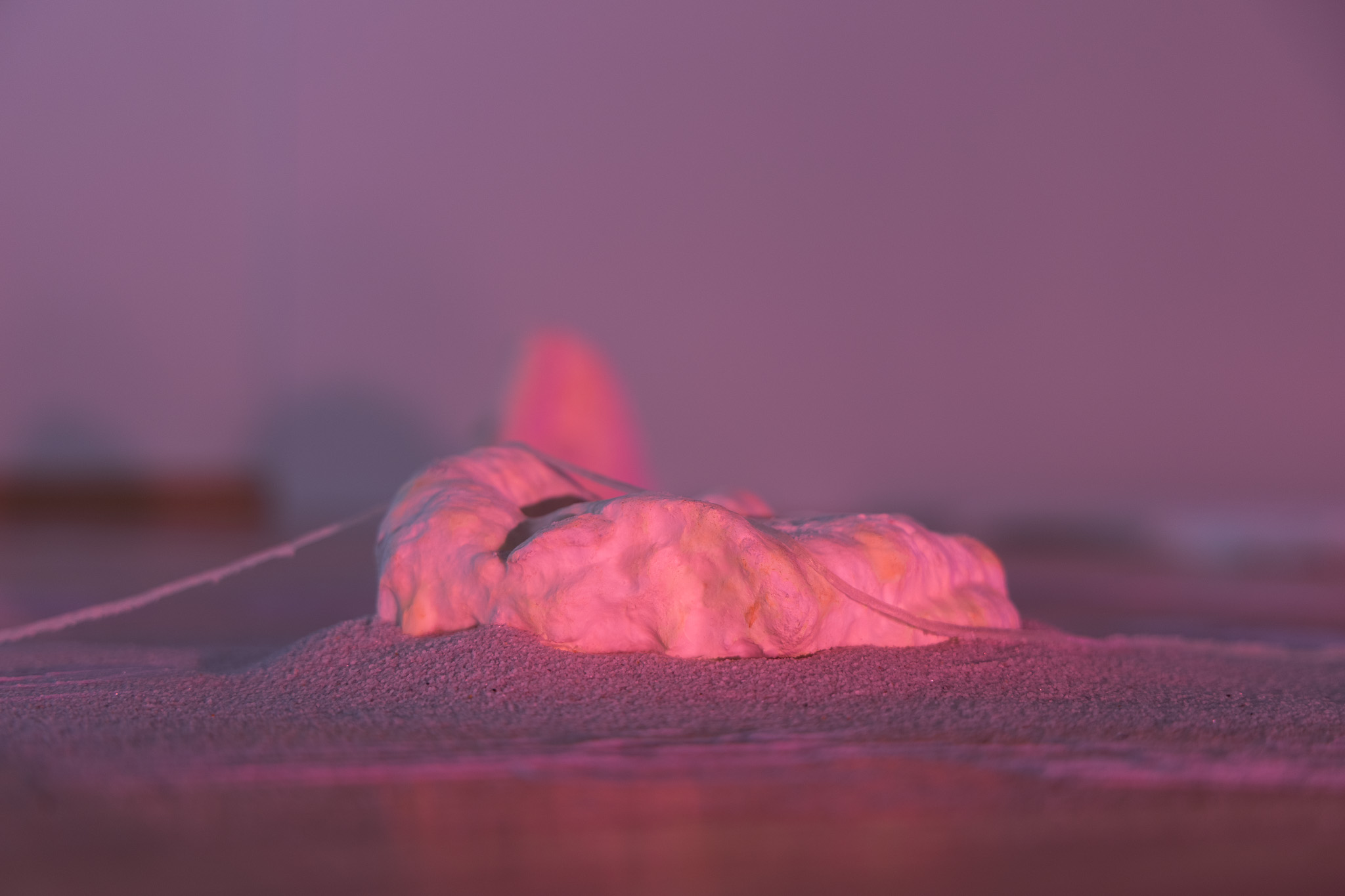 Patrícia Chamrazová: Resensing - Beyond Symbiosis