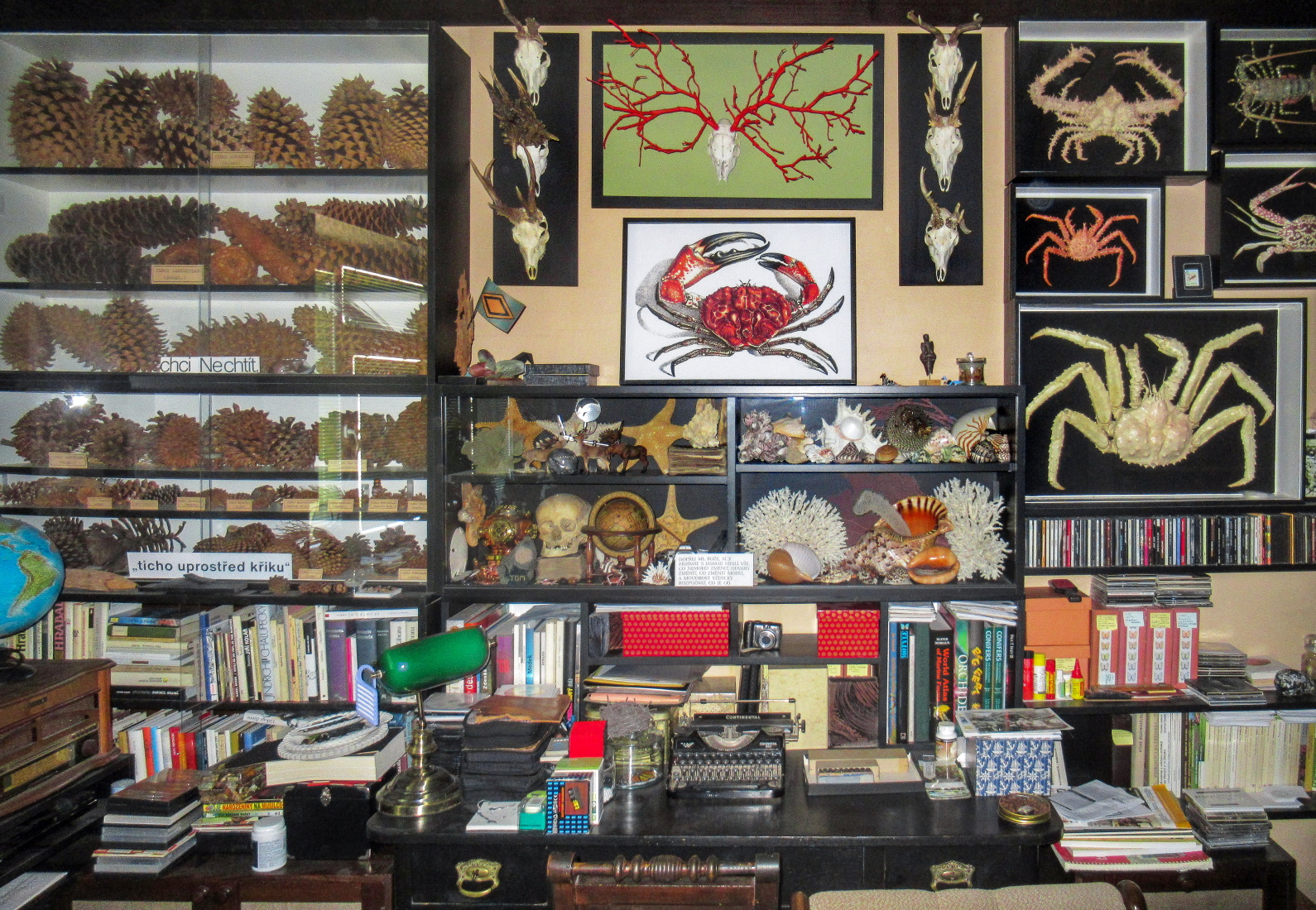 An Outsider’s Insidership