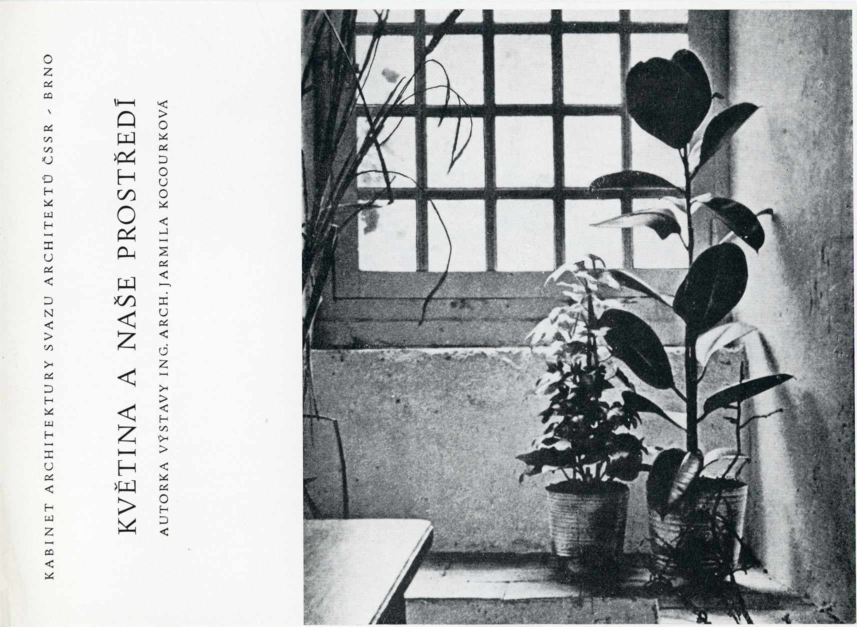 Květina a&nbsp;naše prostředí