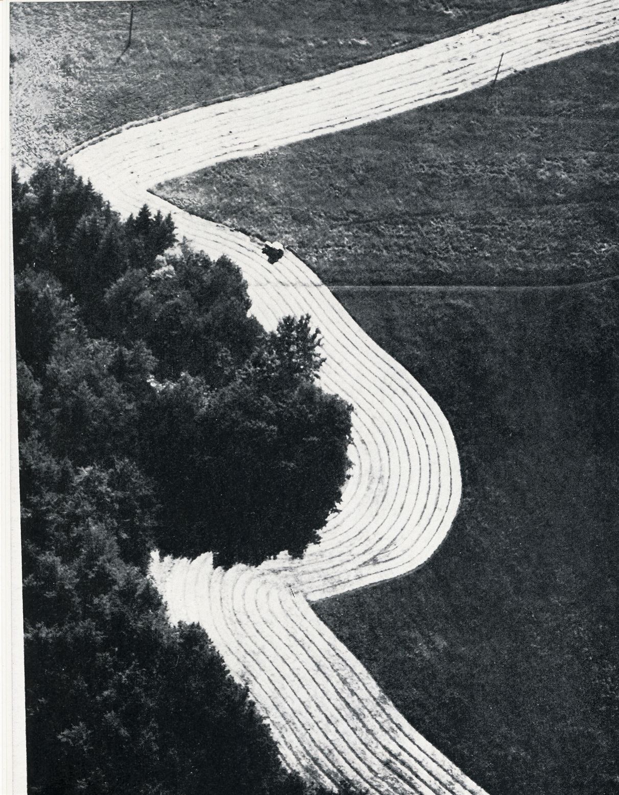 Ženy s&nbsp;kamerou