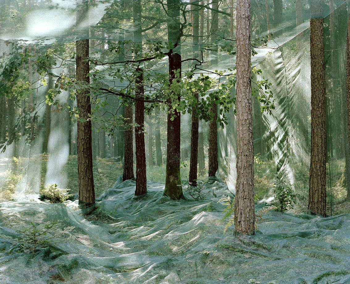 We Have Never Been Forest